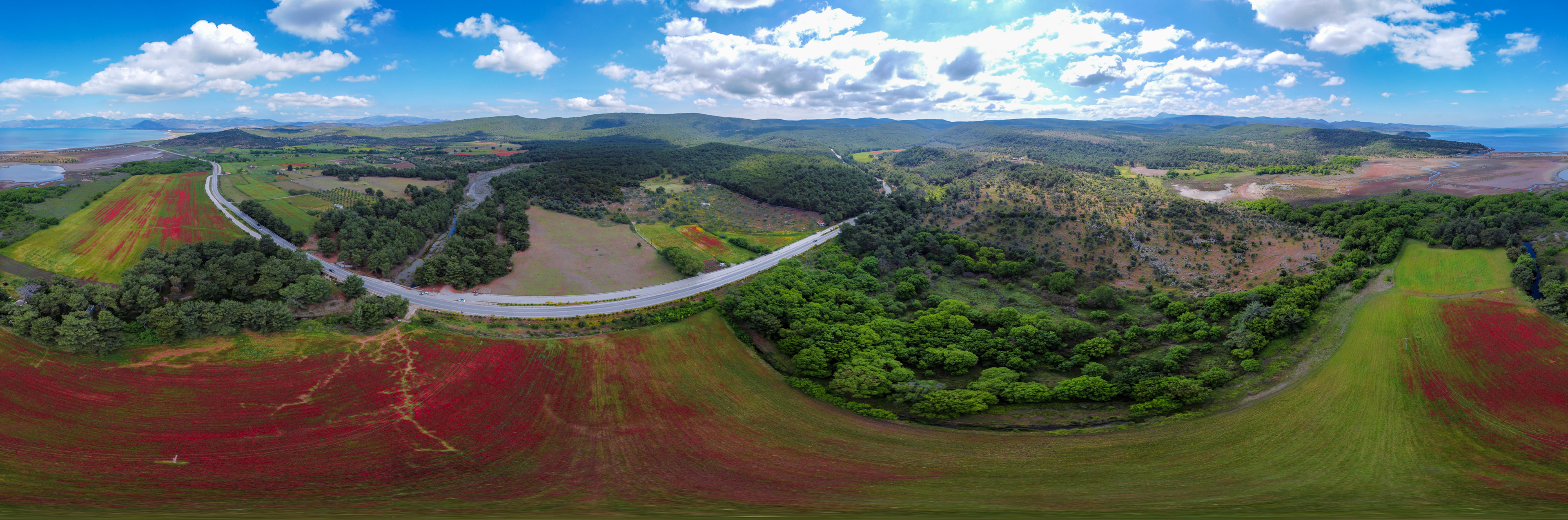 Taken with DJI Mavic Mini