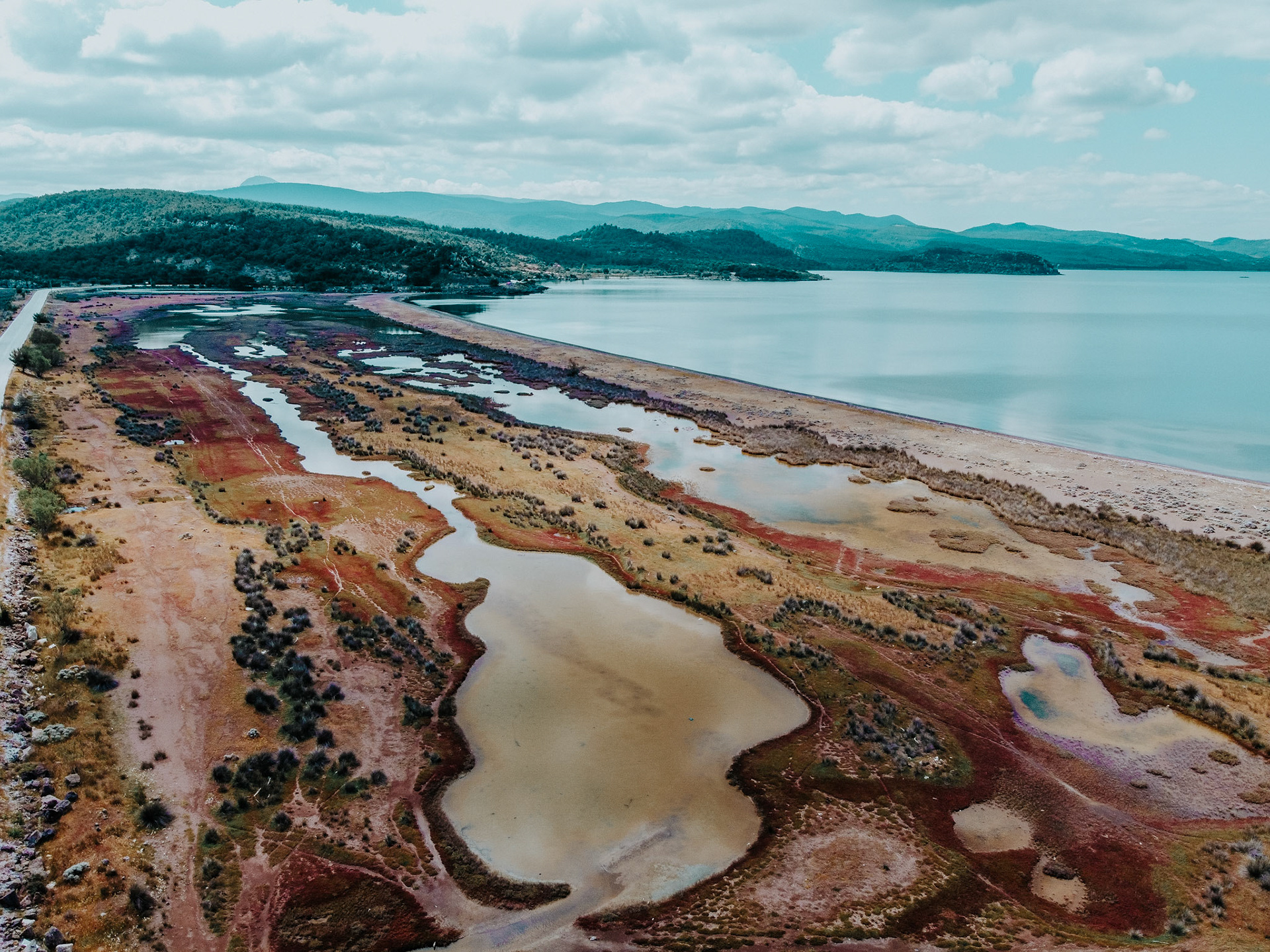 Taken with DJI Mavic Mini