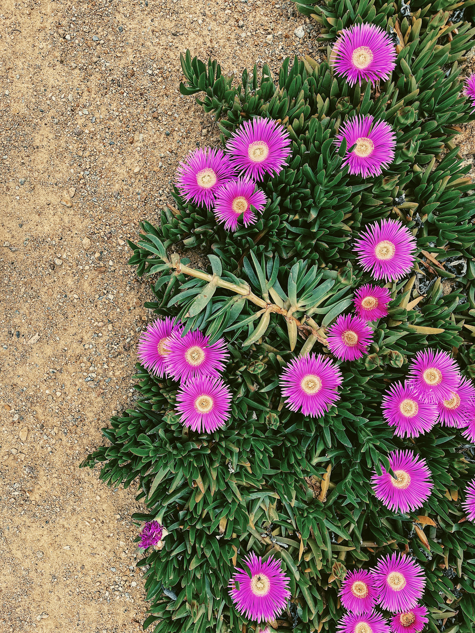 Processed with VSCO with aga1 preset