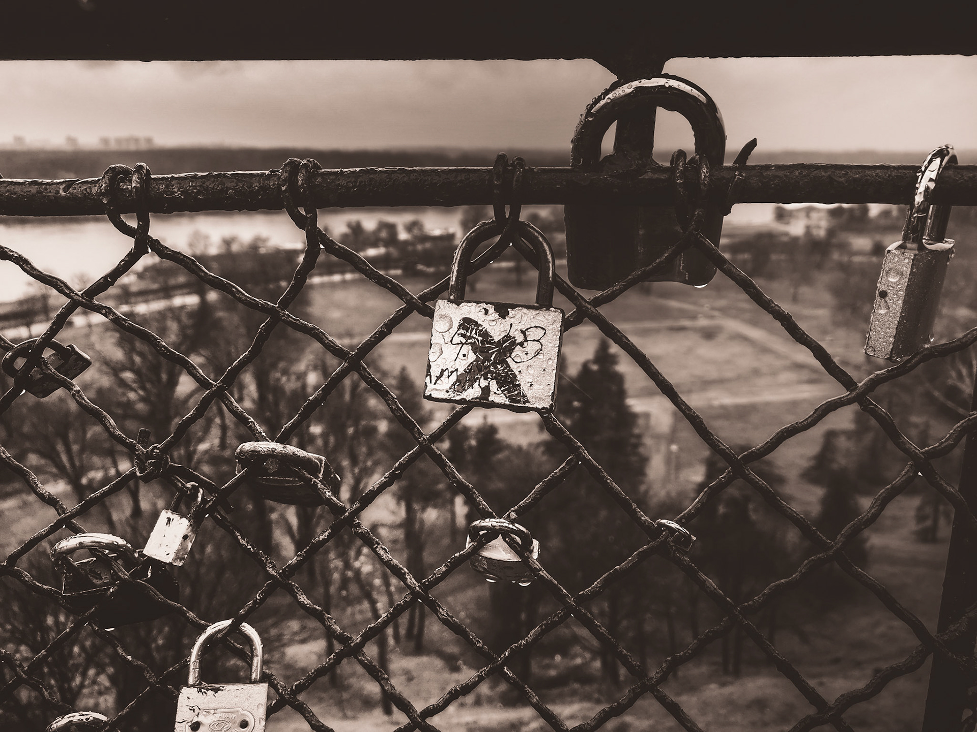 Taken with my Honor View 20