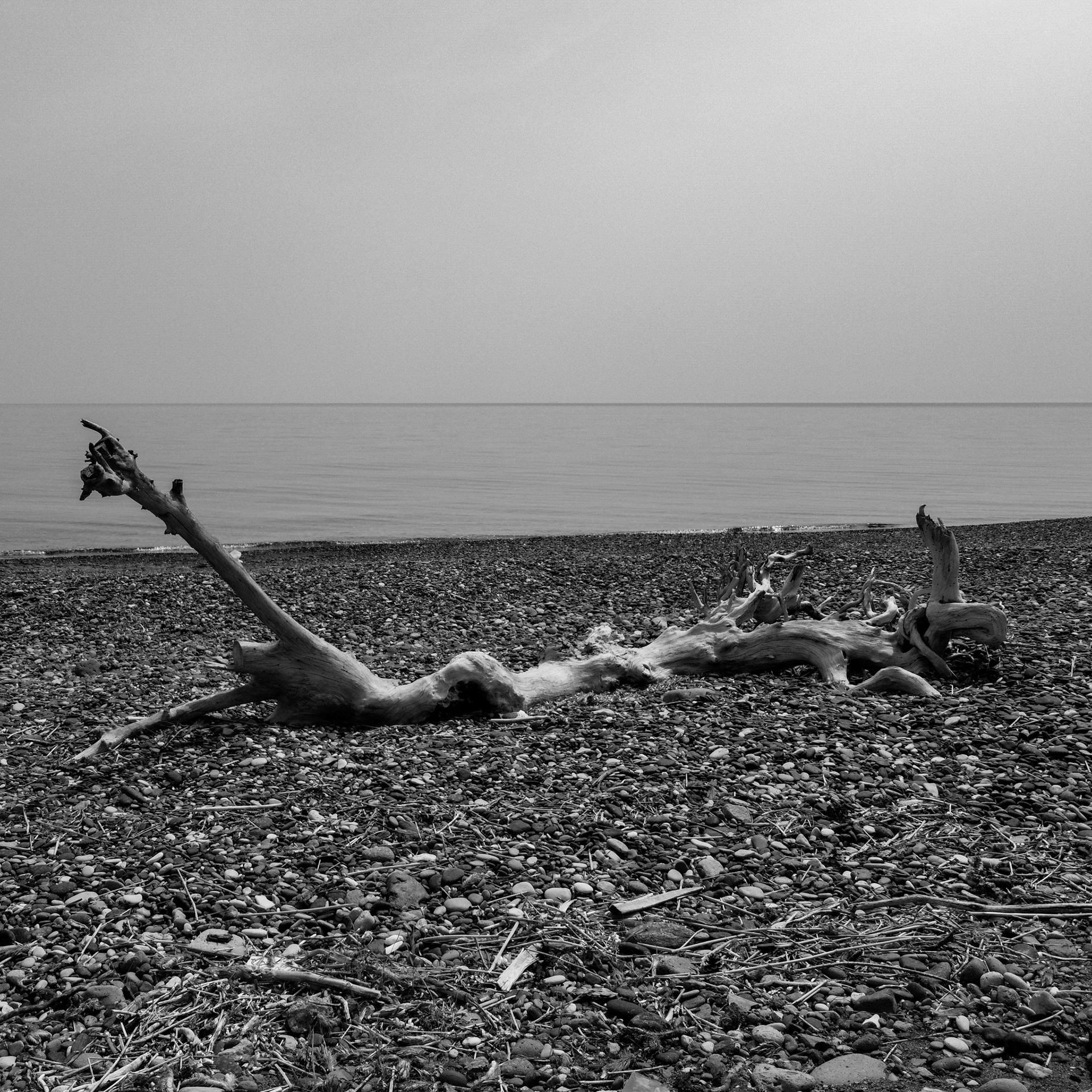 Taken with DJI Mavic Mini