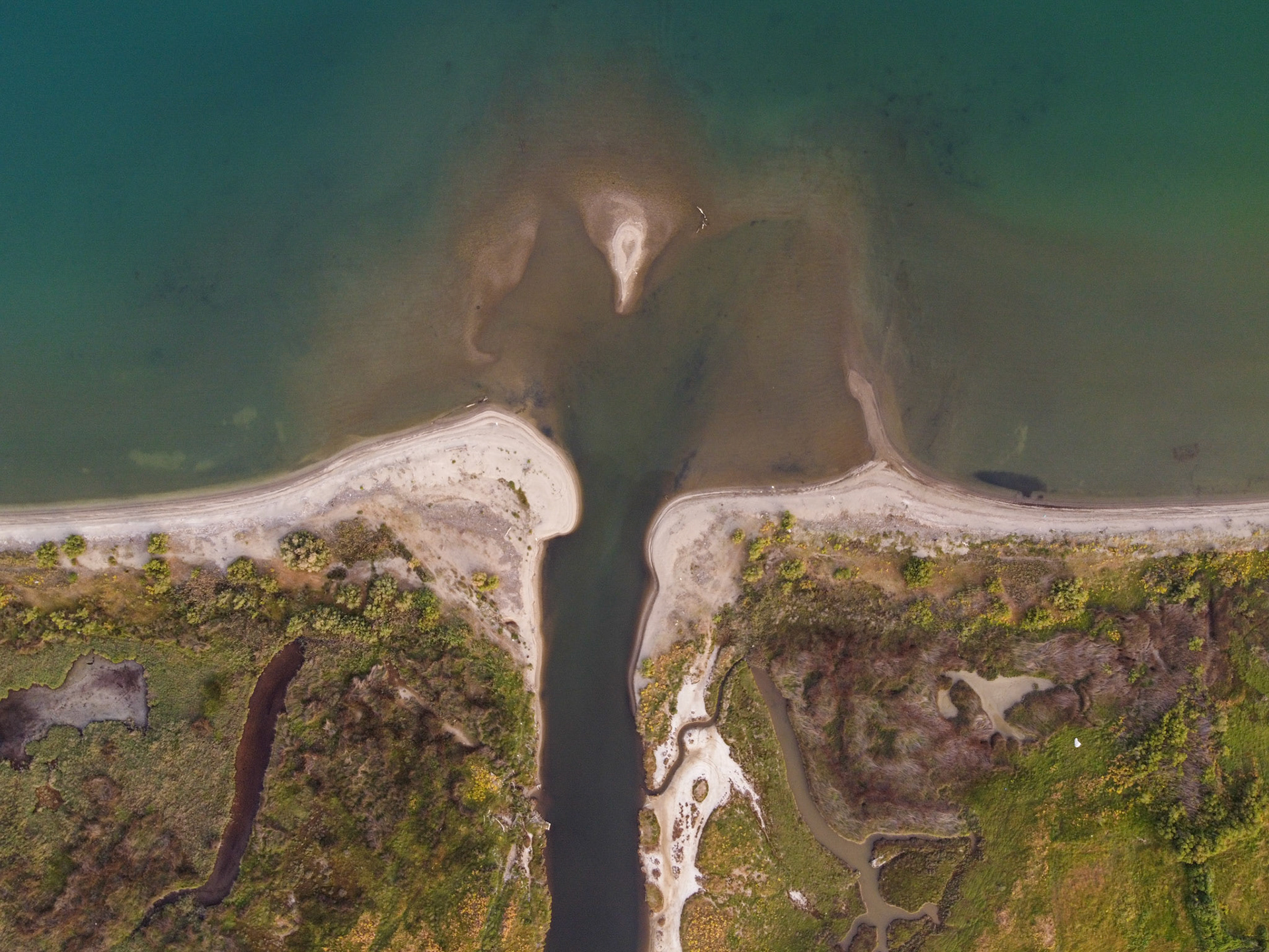 Taken with DJI Mavic Mini