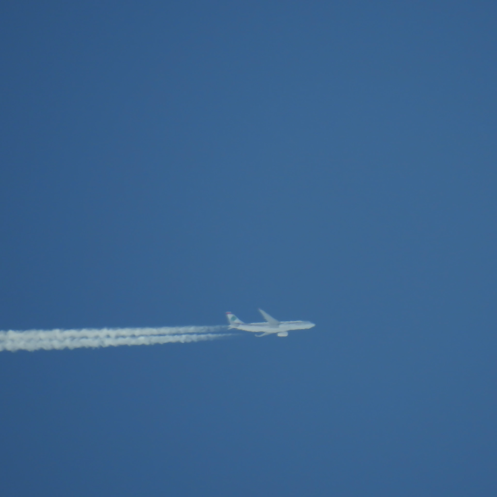 Taken with my Nikon Coolpix P900