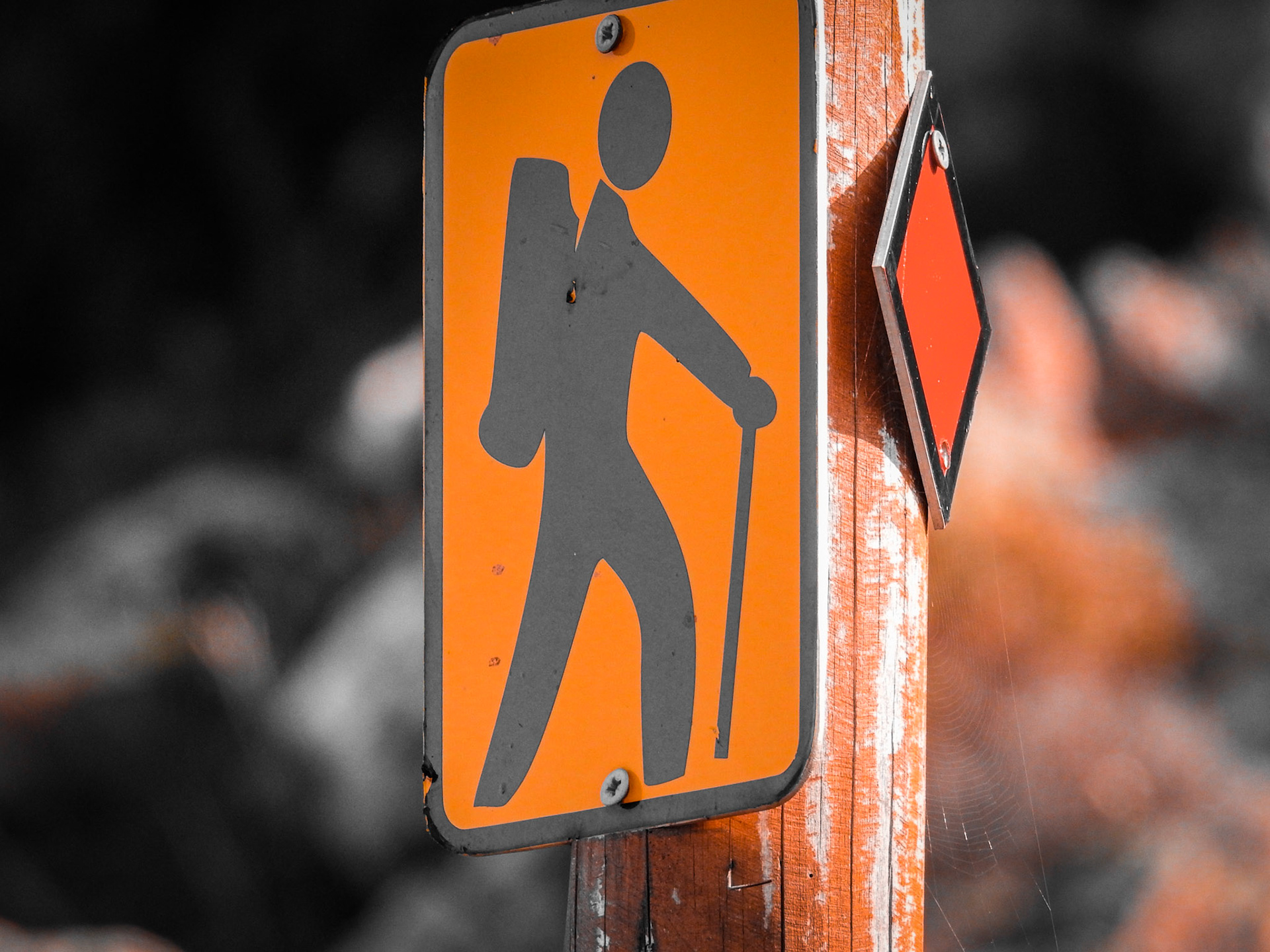 Taken with my Nikon Coolpix P900