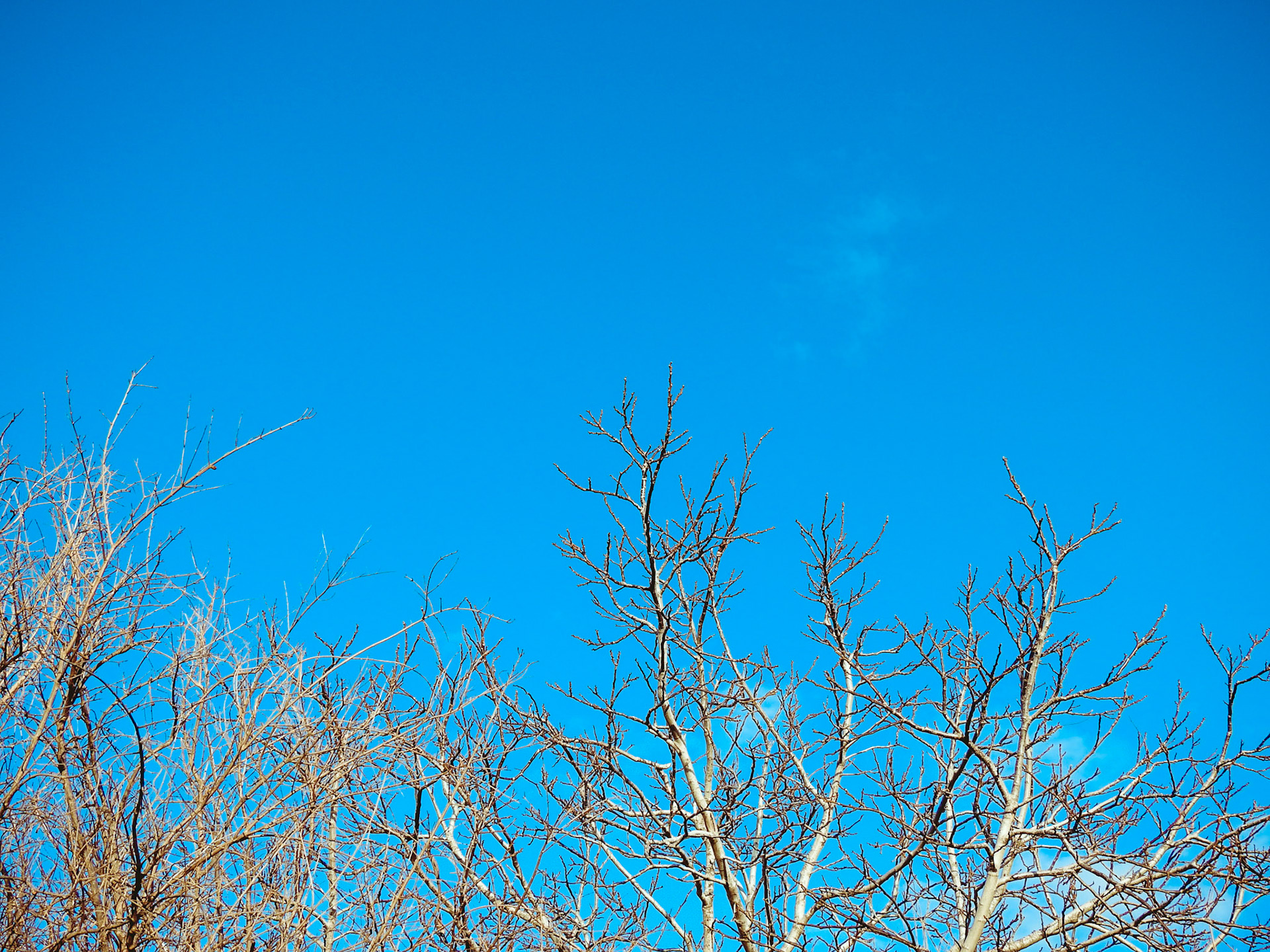 Taken with my Nikon Coolpix P900