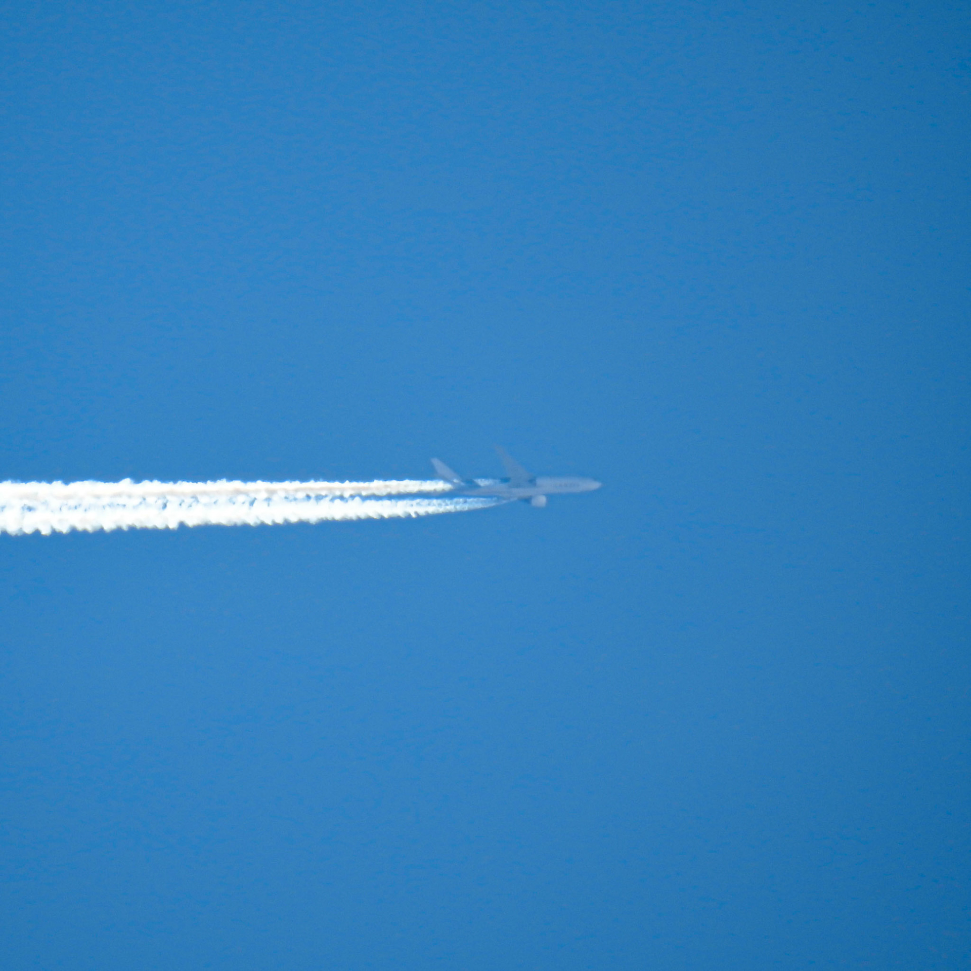 Taken with my Nikon Coolpix P900