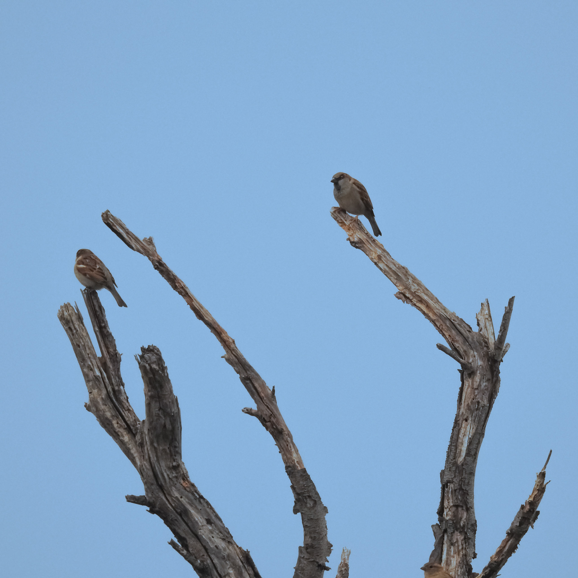 Taken with my Nikon Coolpix P900