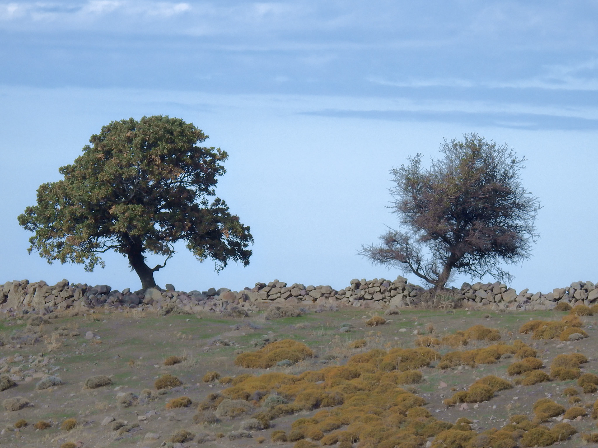 Taken with my Nikon Coolpix P900