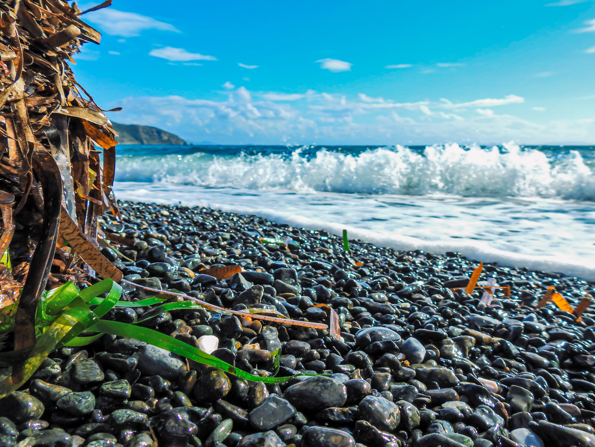 Taken with my Nikon Coolpix P900