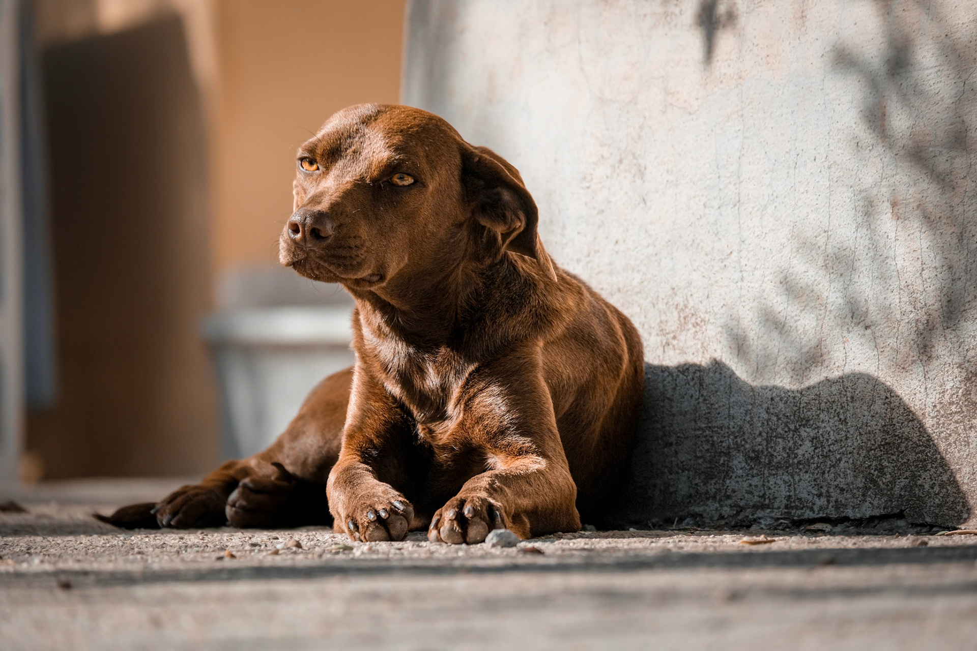 Taken with my Fujifilm X-T30 using the Fujinon XC 50-230mm F4.5-6.7 OIS II