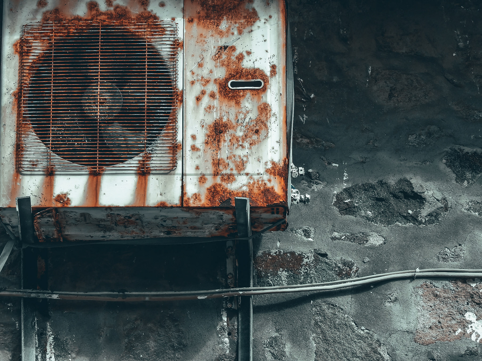 Taken with my Nikon Coolpix P900