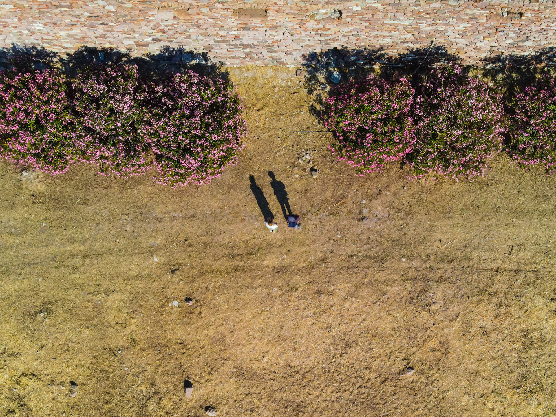 Taken with my DJI Mavic Air 2