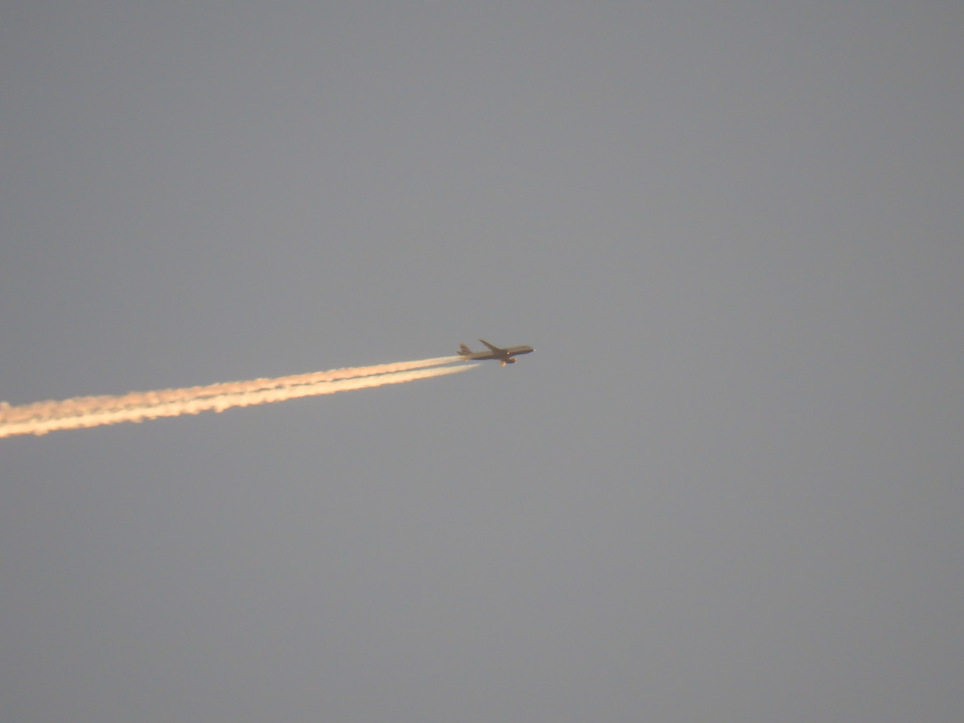 Taken with my Nikon Coolpix P900