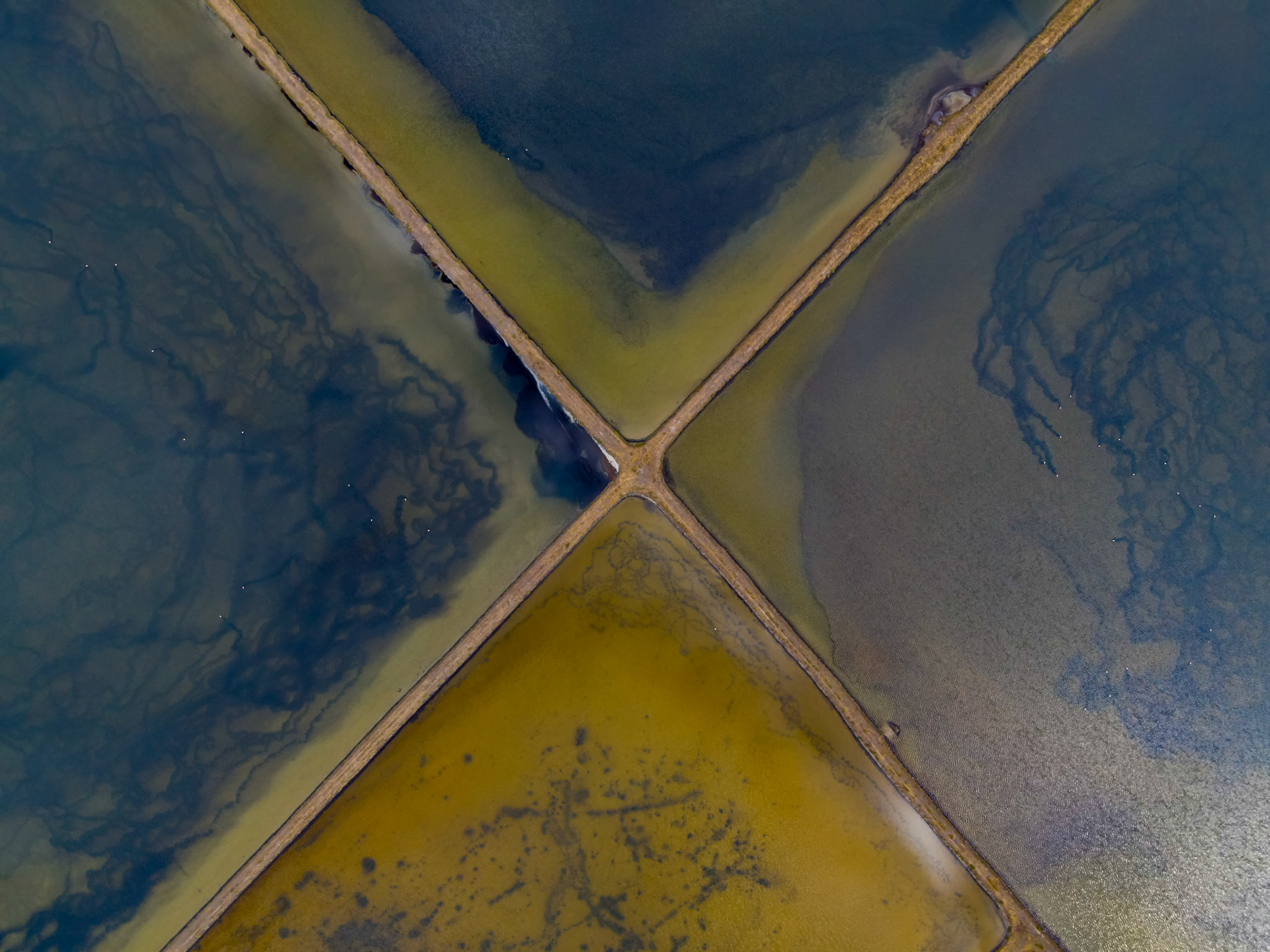 Taken with my DJI Mavic Air 2