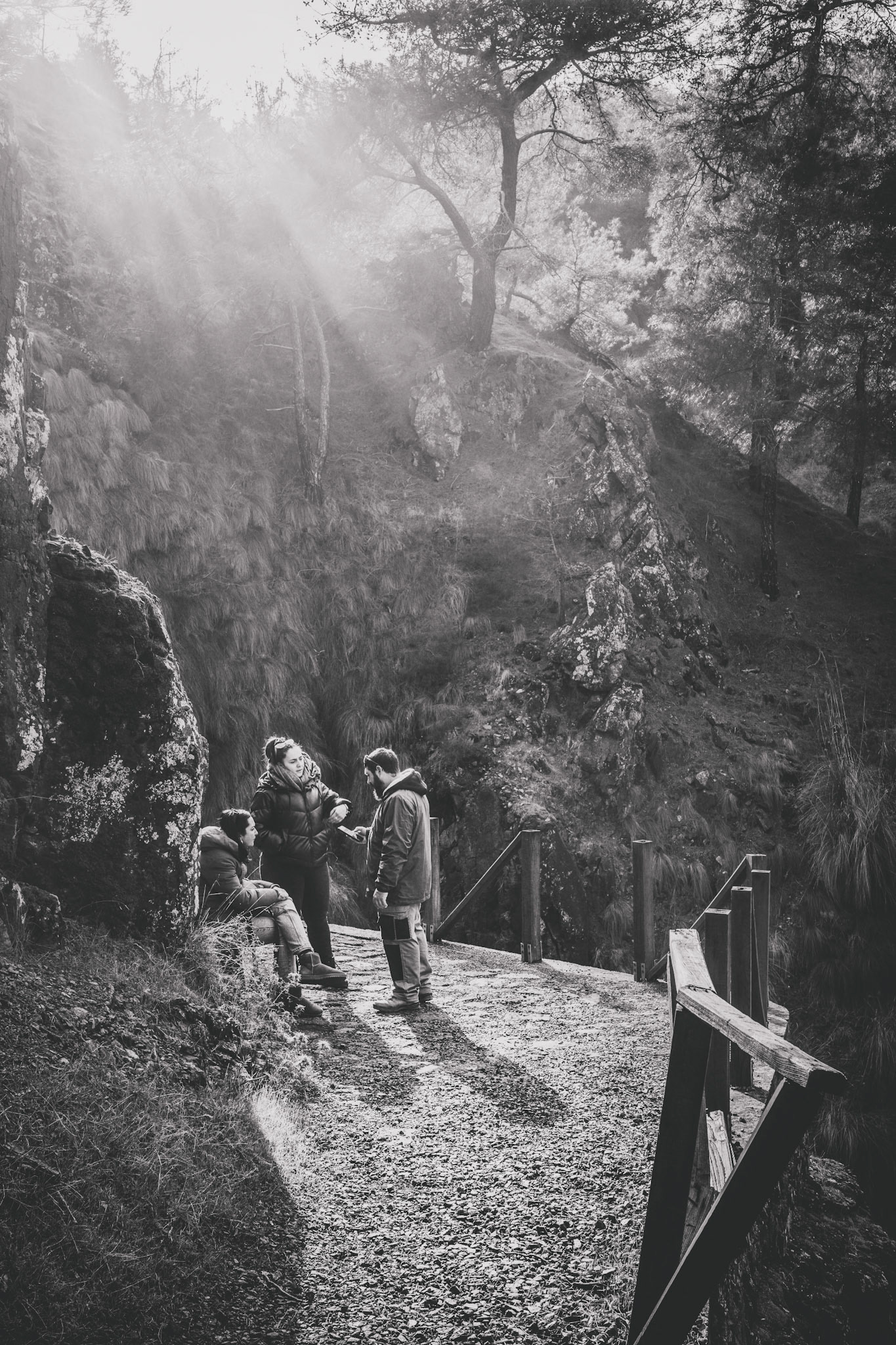 Taken with my Ricoh GR IIIx