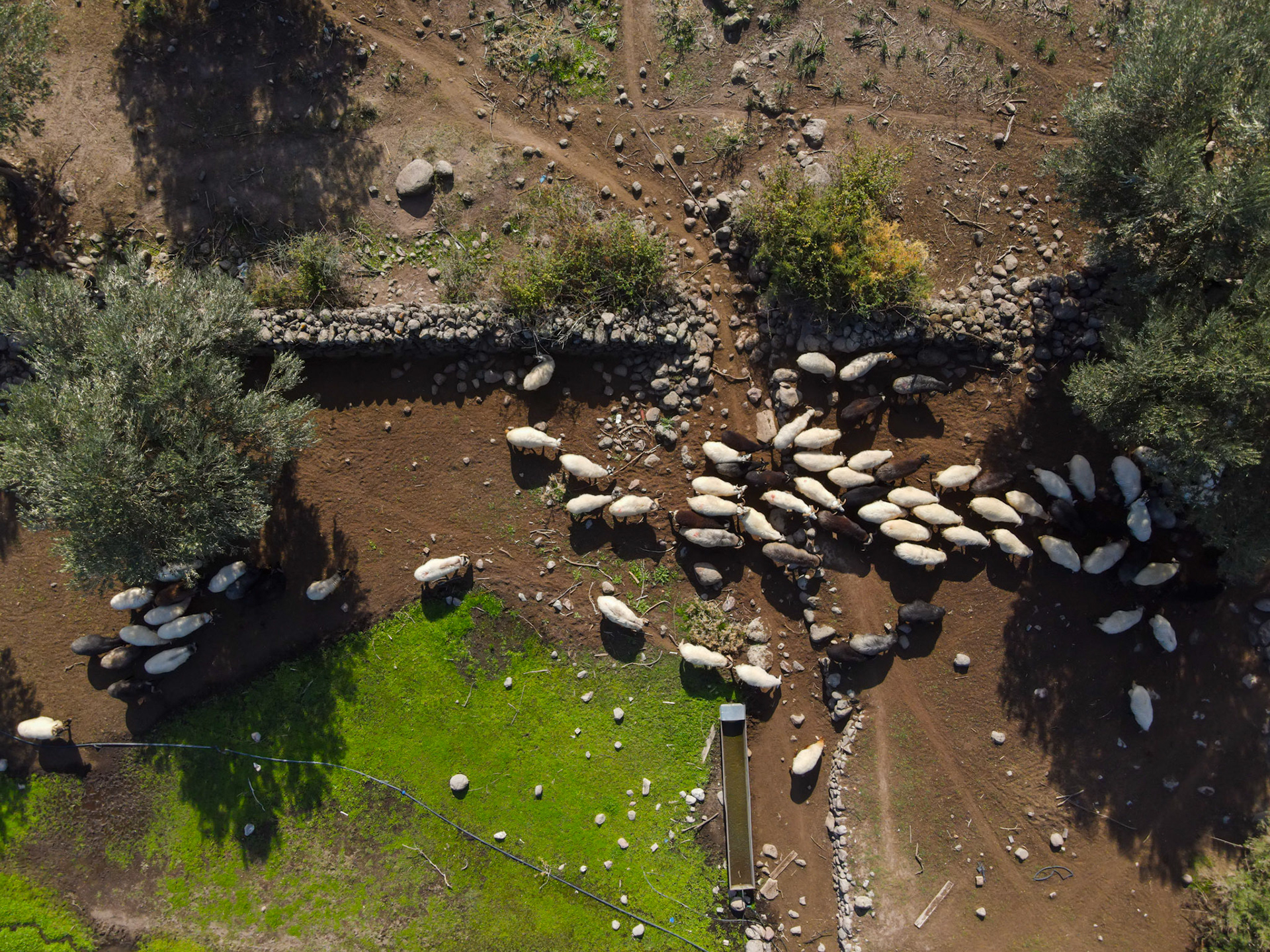 Taken with my DJI Mavic Air 2