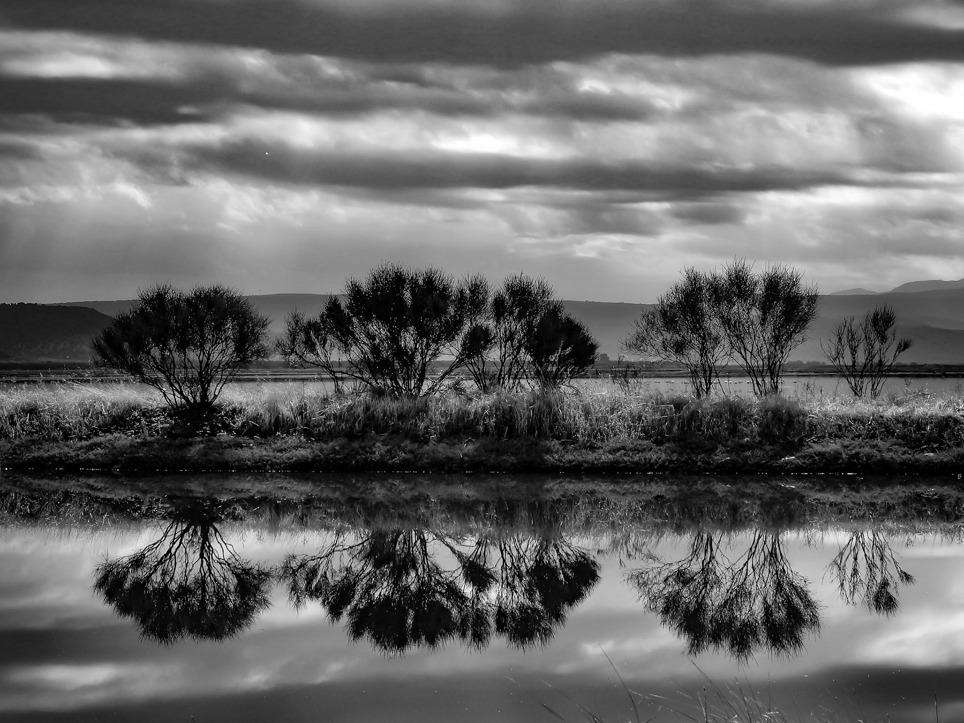 Taken with my Nikon Coolpix P900