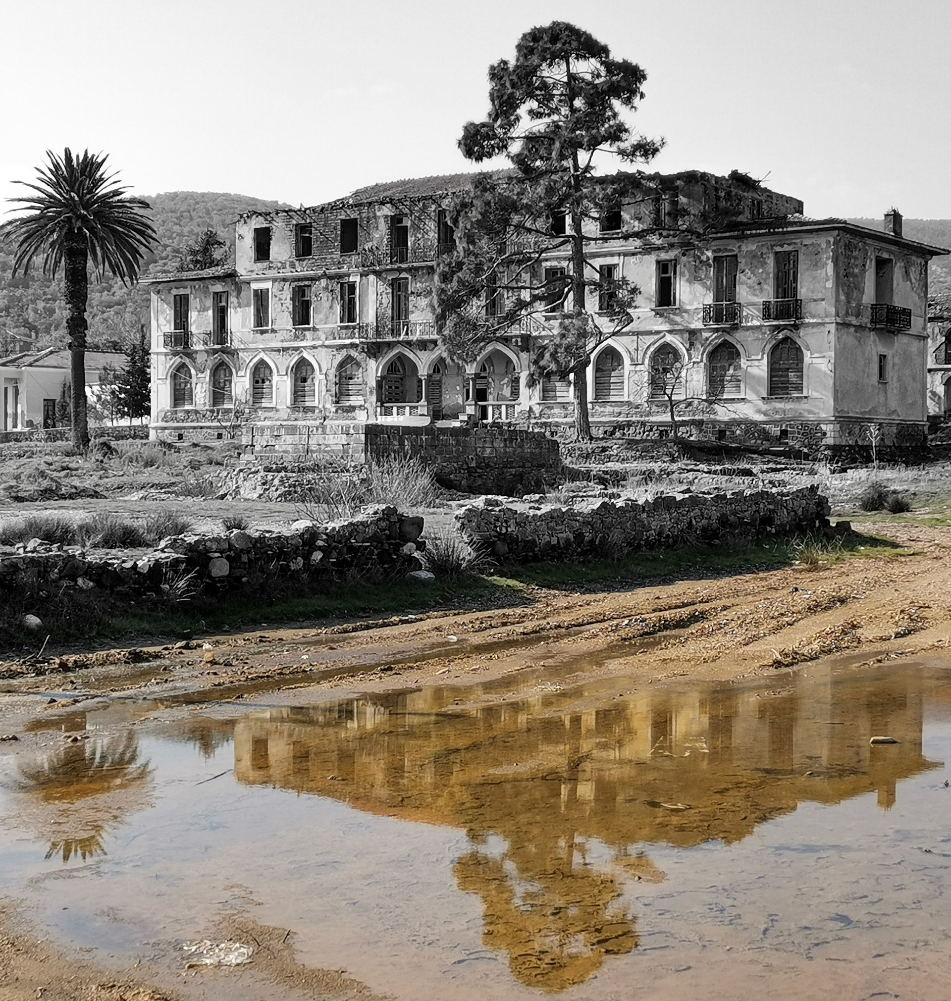 Taken with my Honor View 20