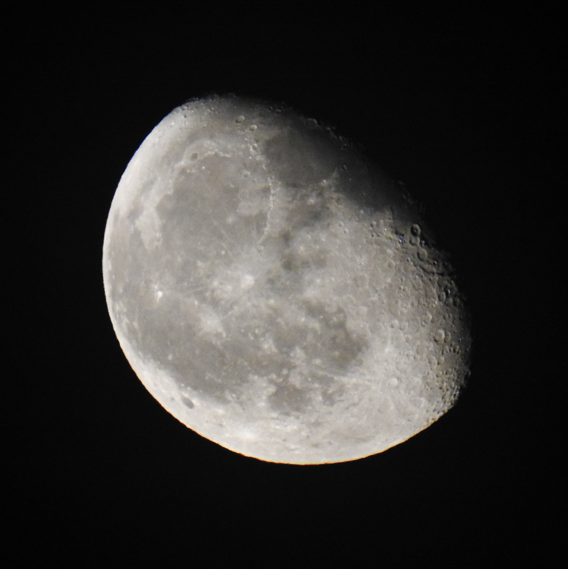 Taken with my Nikon Coolpix P900