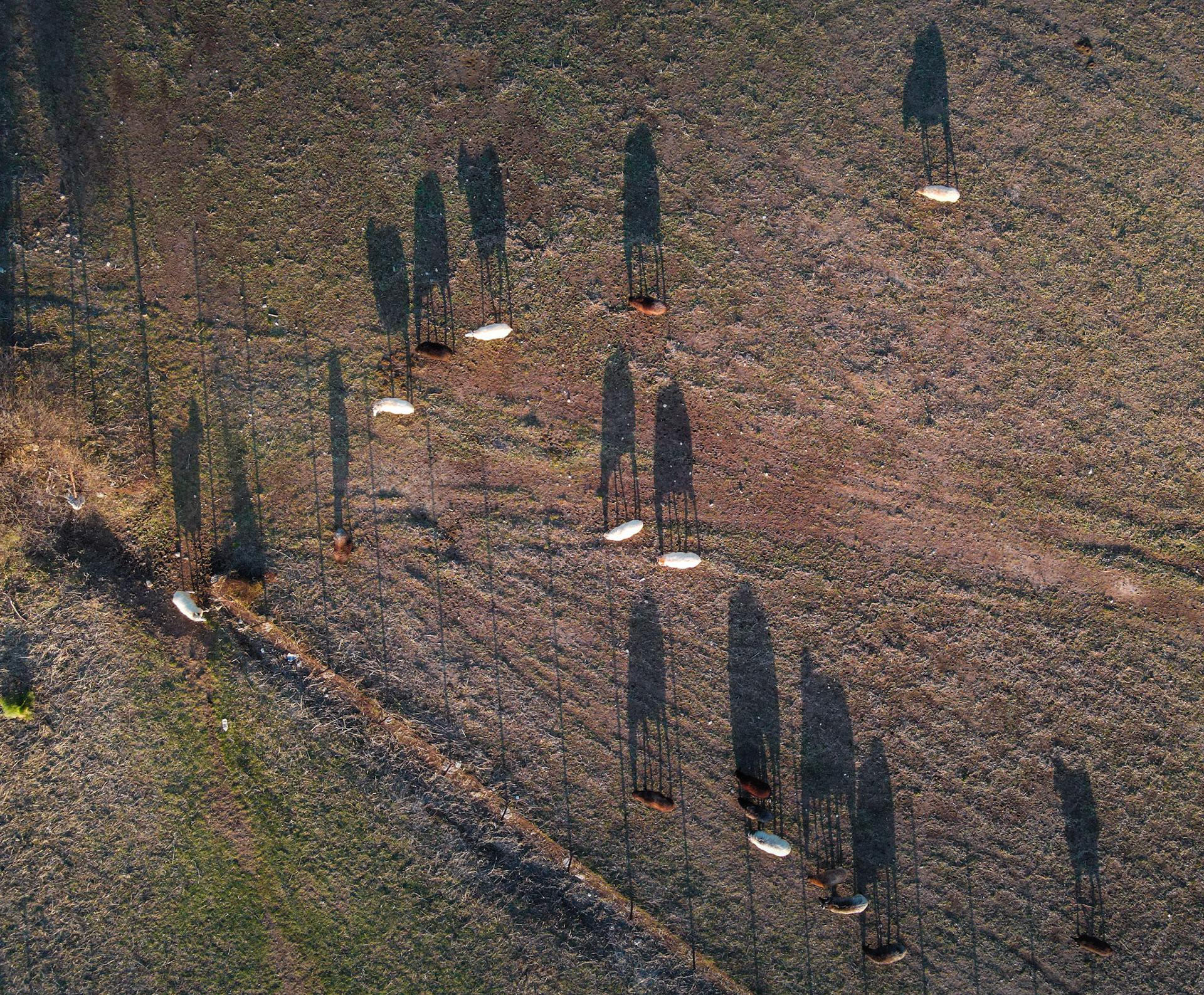 Taken with my DJI Mavic Air 2