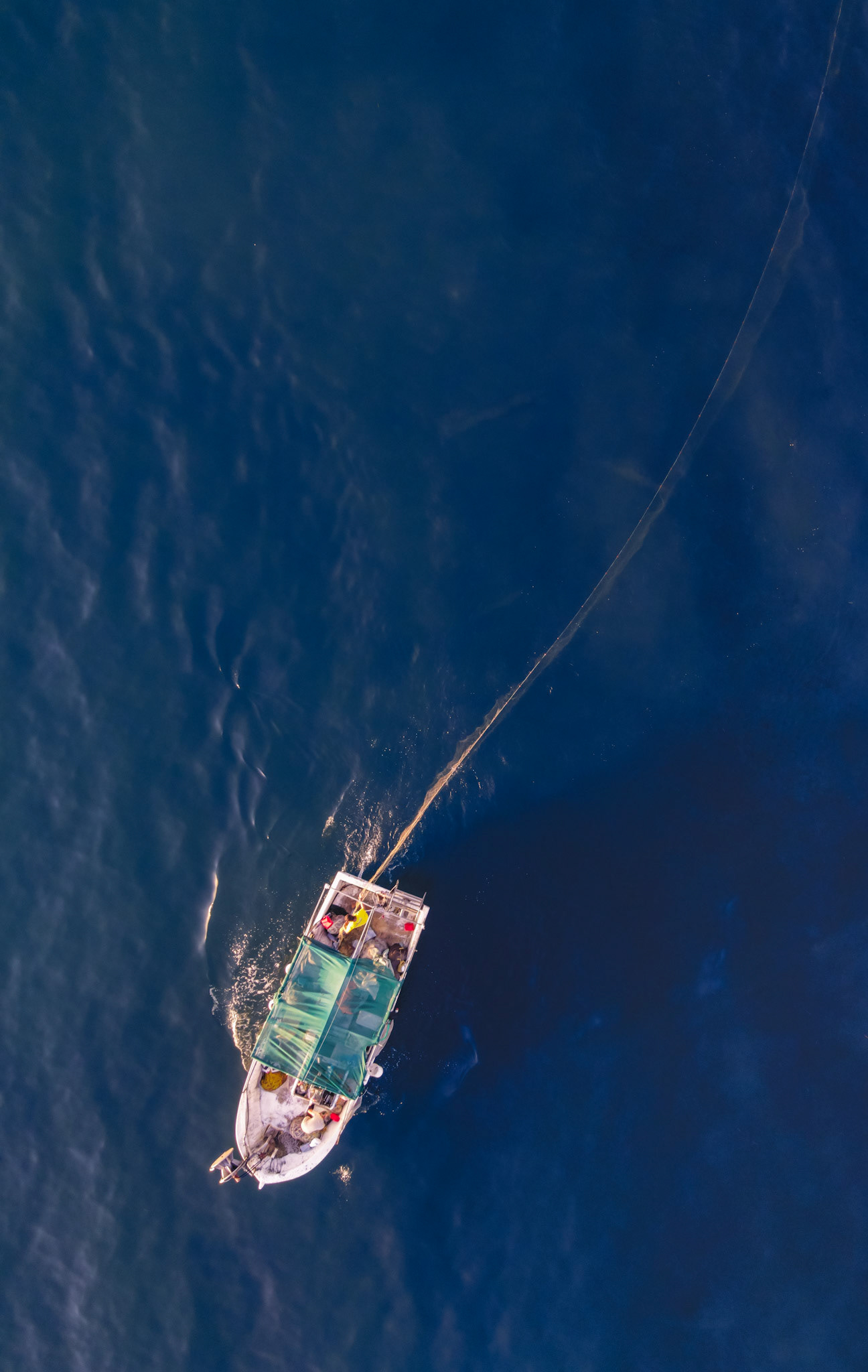 Taken with my DJI Mavic Air 2