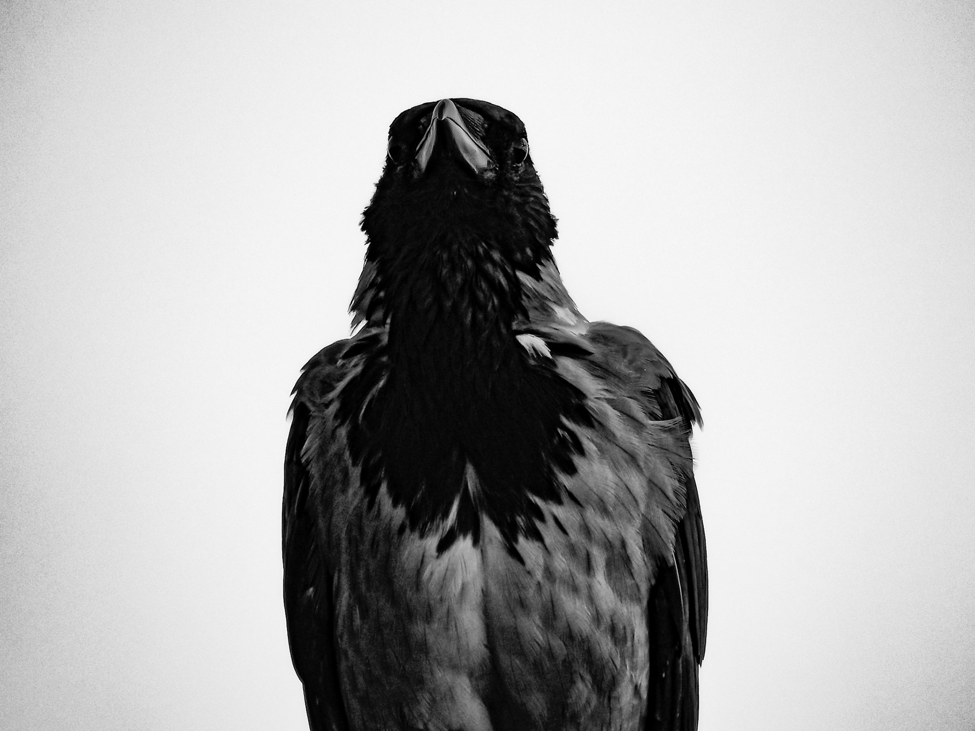 Taken with my Nikon Coolpix P900