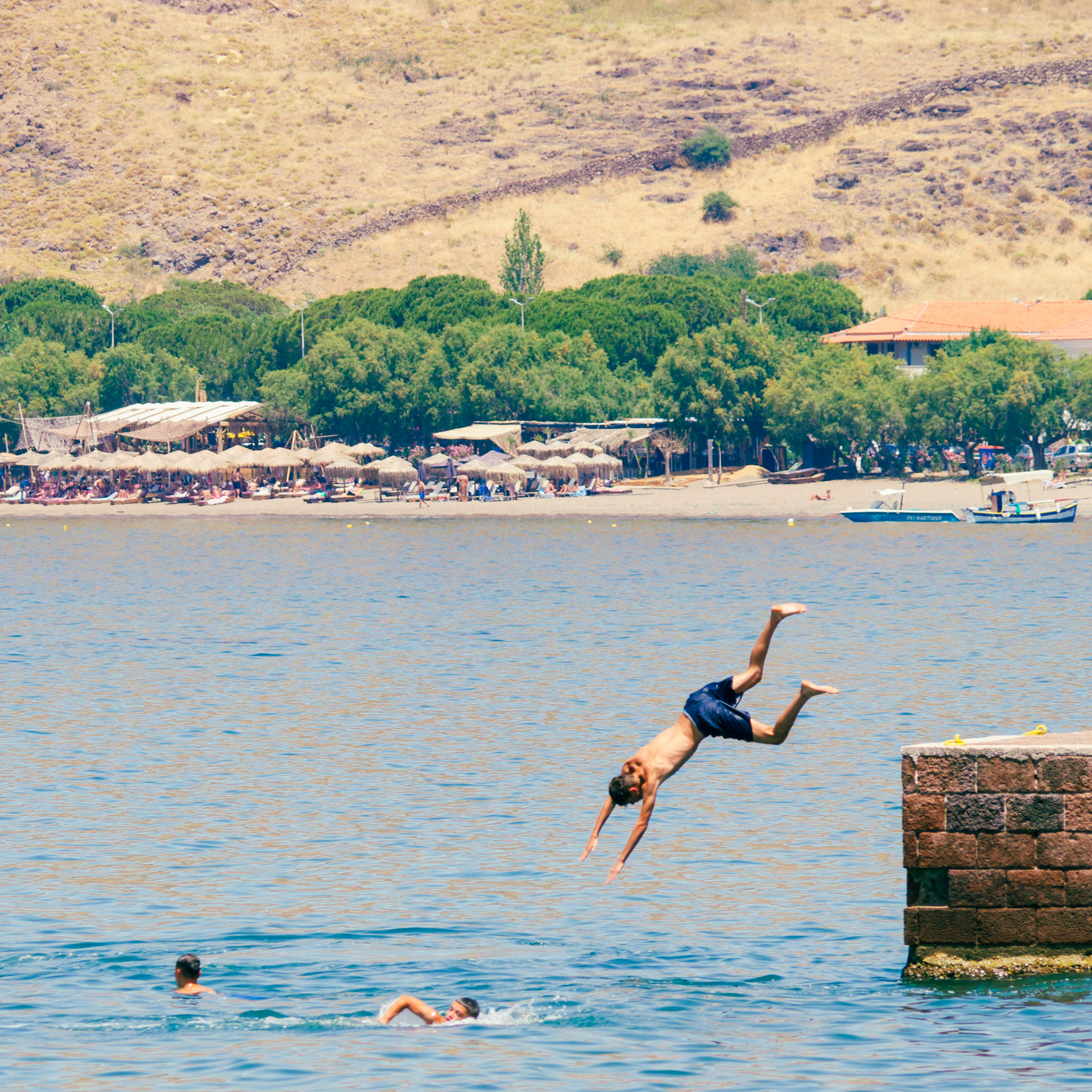 OLYMPUS DIGITAL CAMERA