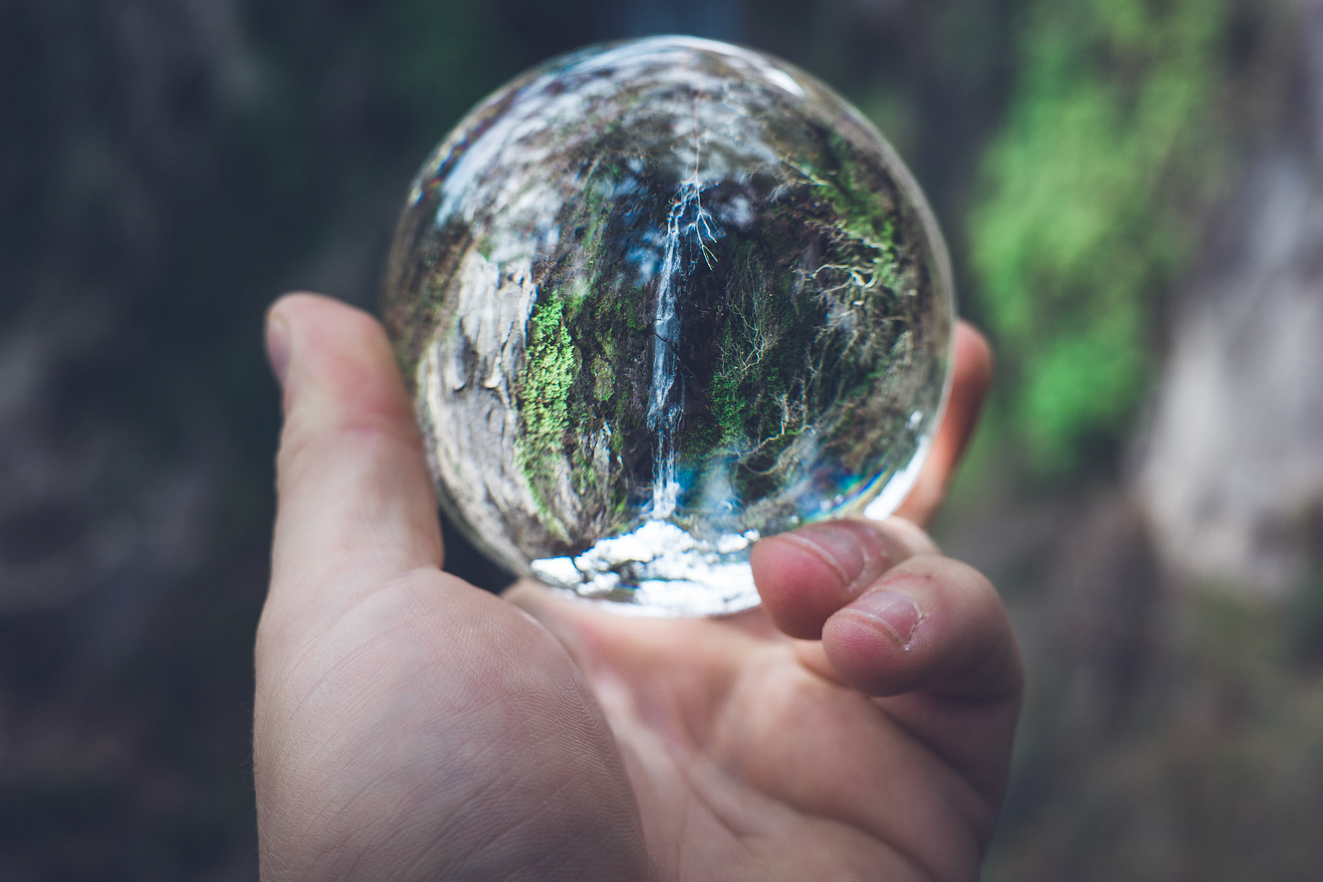 Taken with my Ricoh GR IIIx