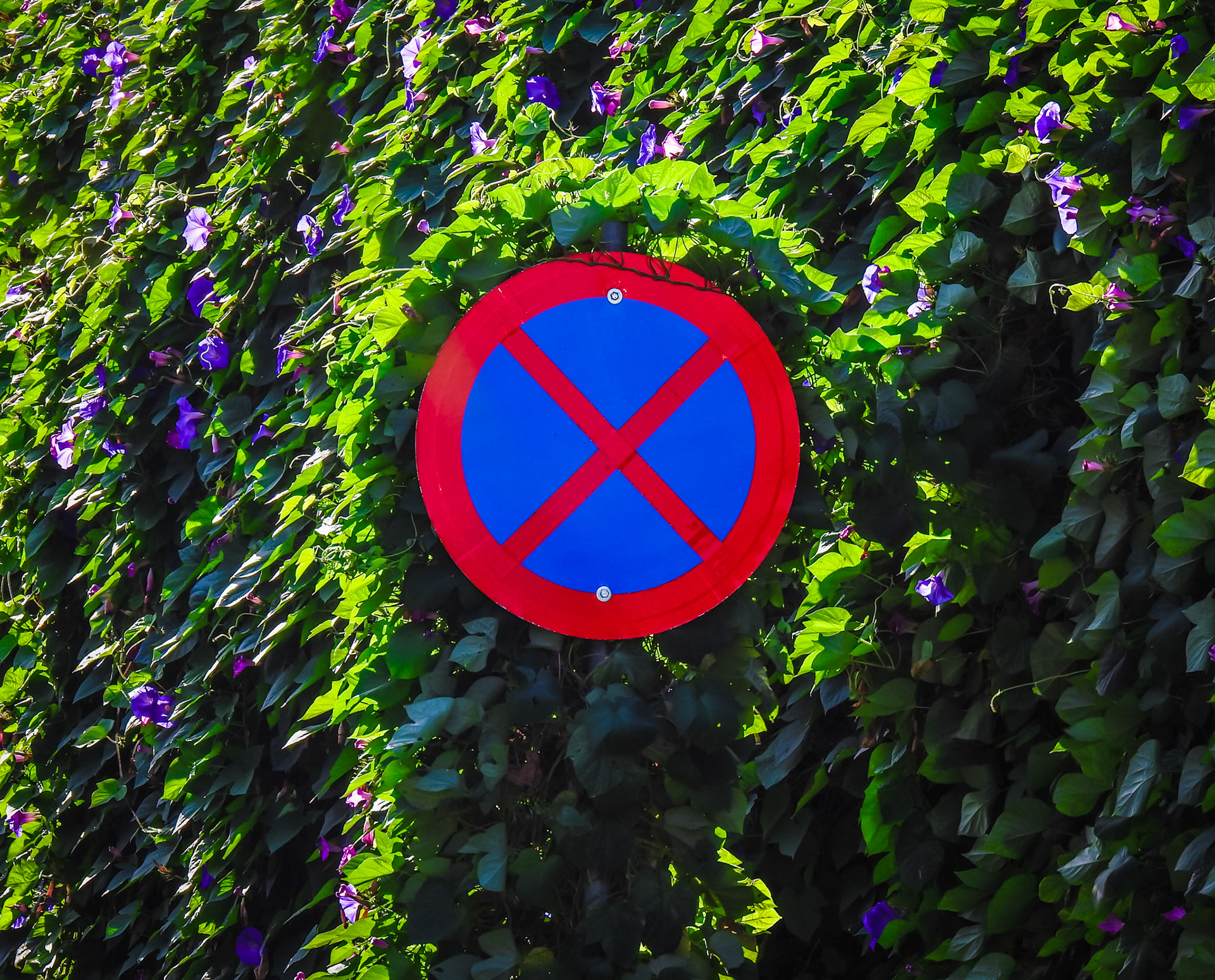 Taken with my Nikon Coolpix P900