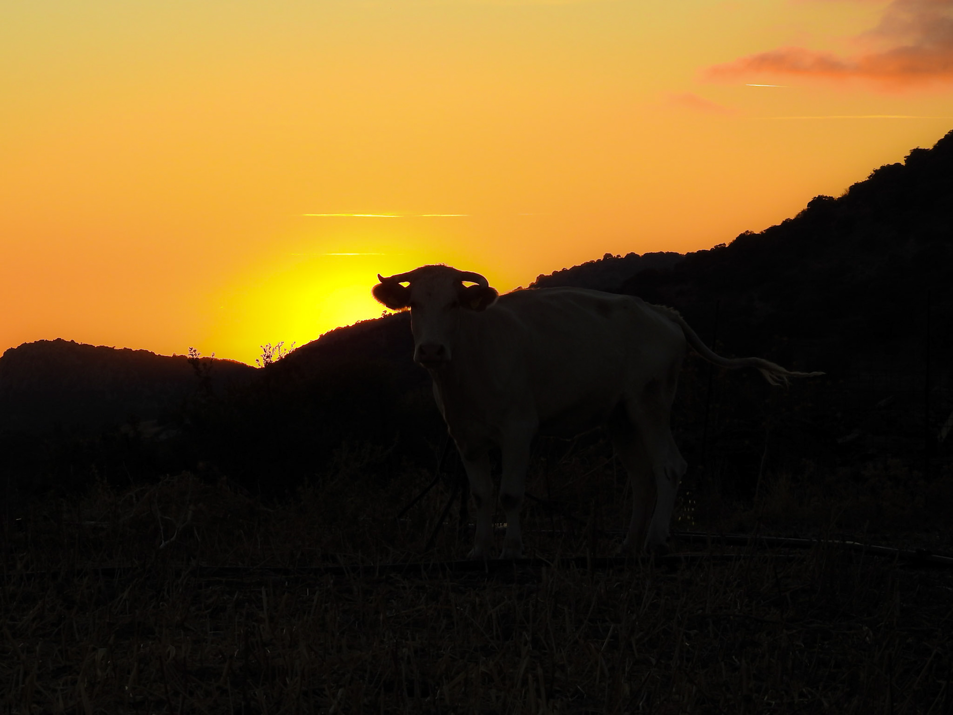 Taken with my Nikon Coolpix P900