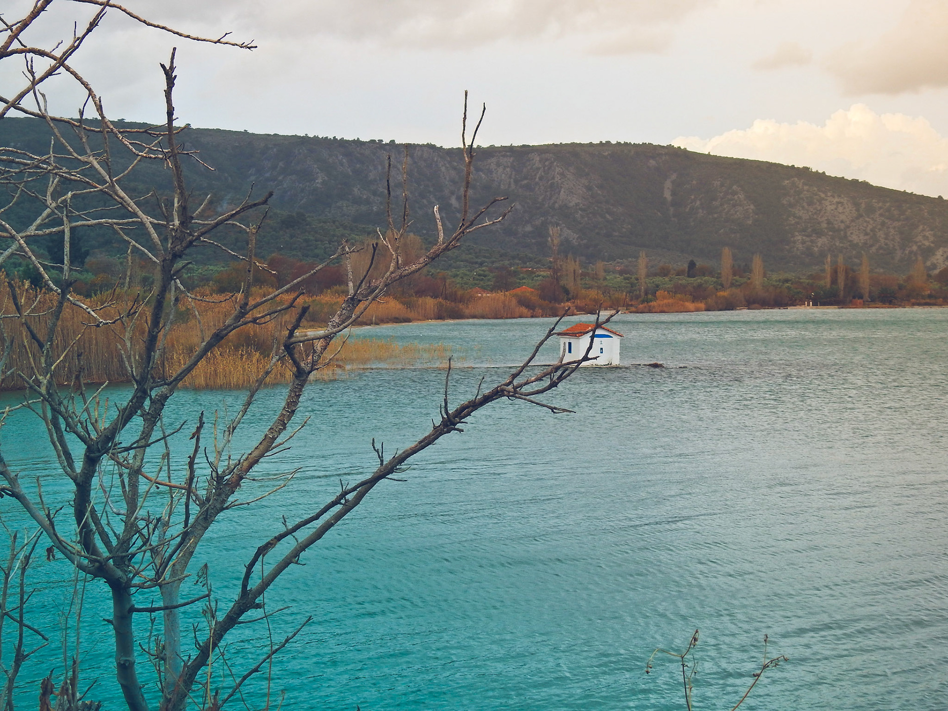 Taken with my Nikon Coolpix P900