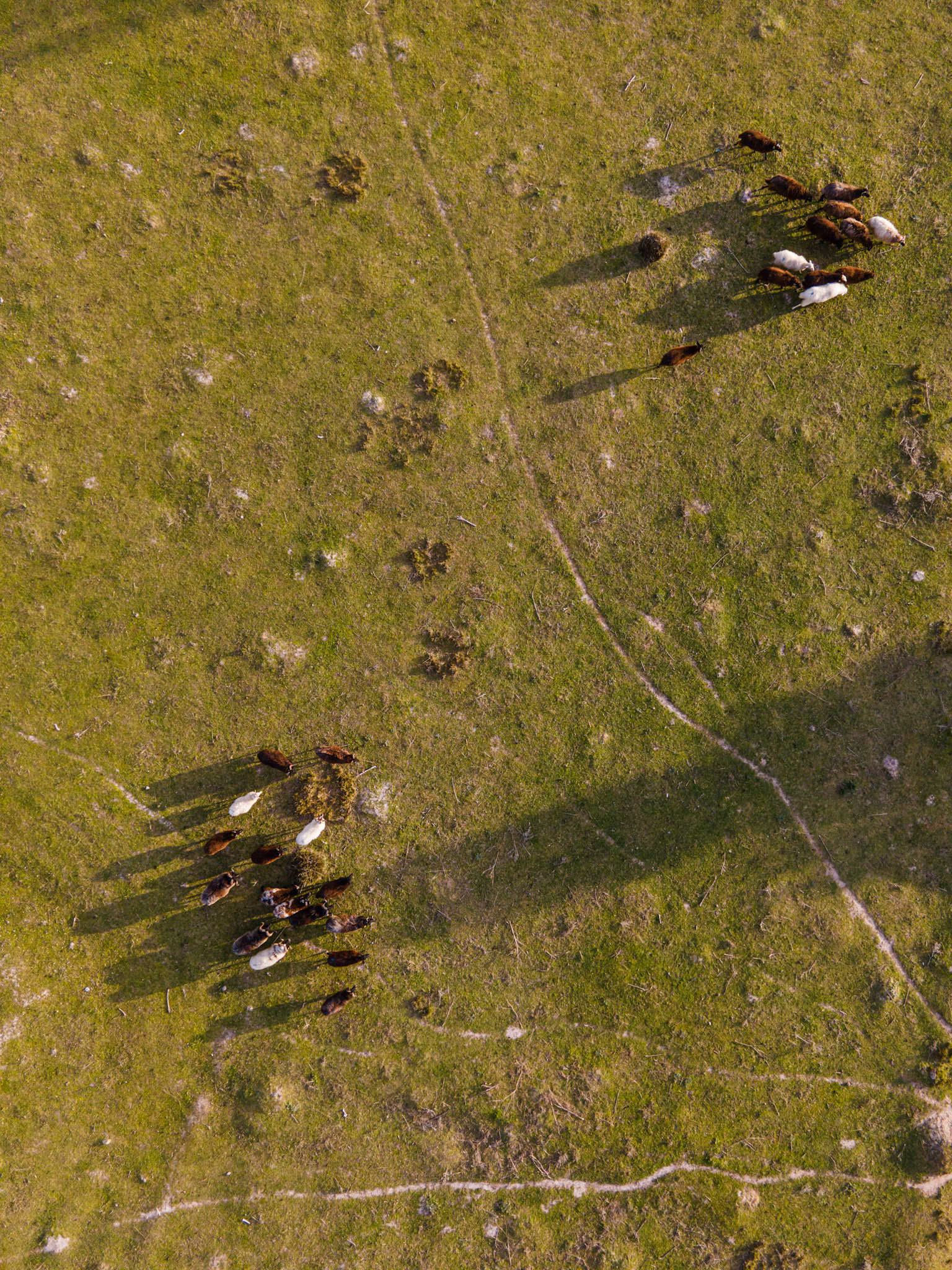 DJI Mavic Air 2