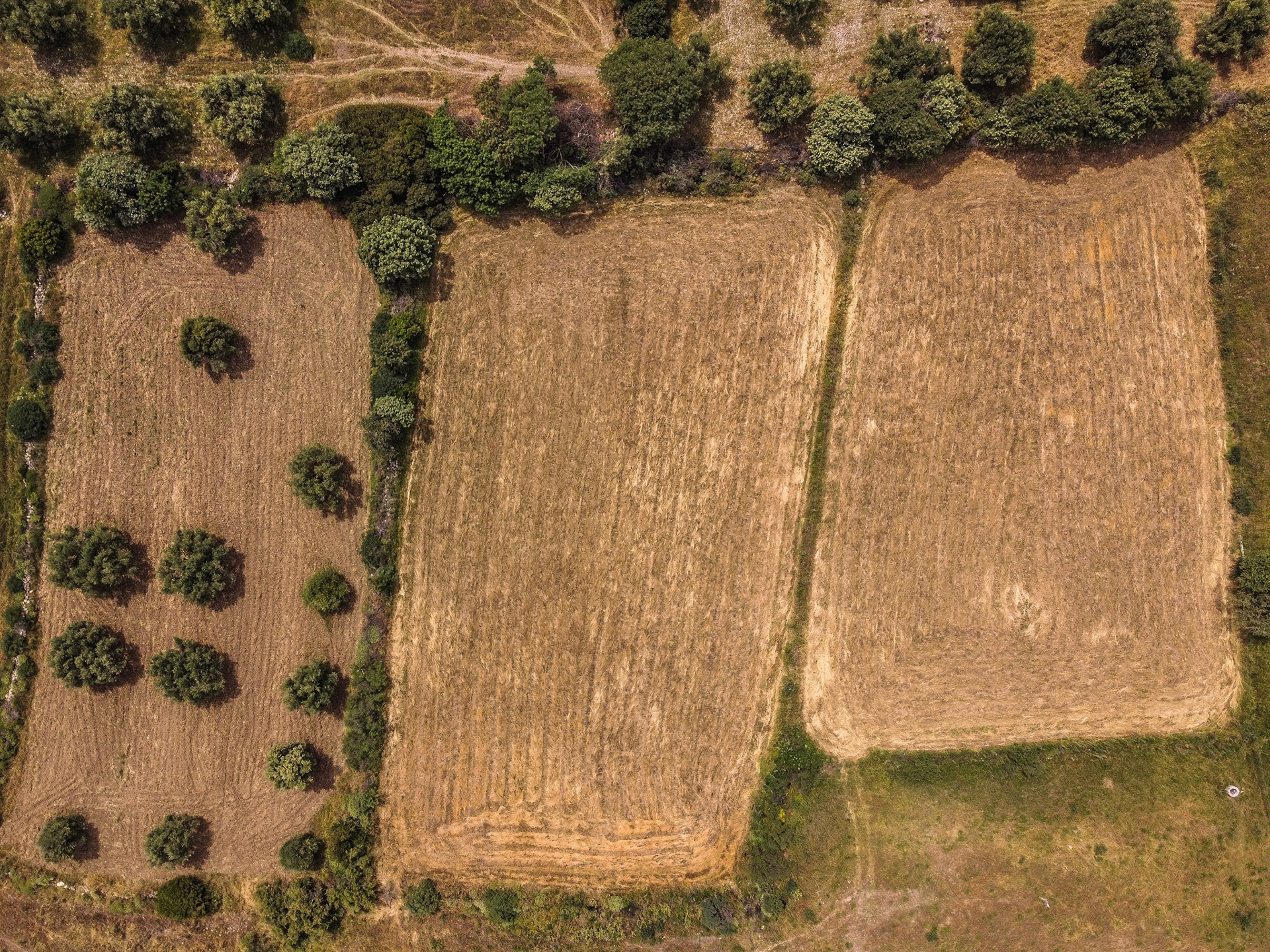 Taken with DJI Mavic Mini