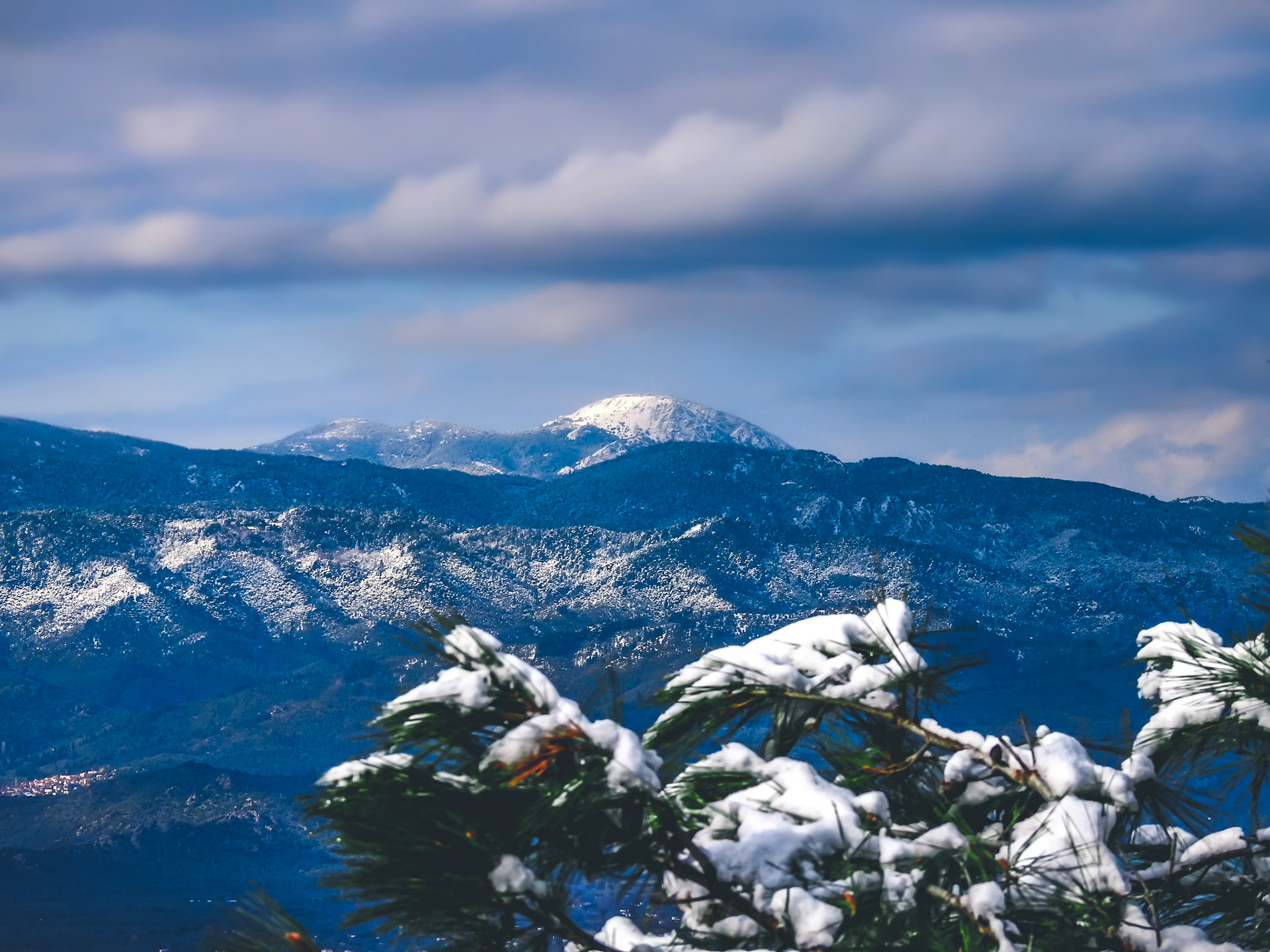 Taken with my Nikon Coolpix P900