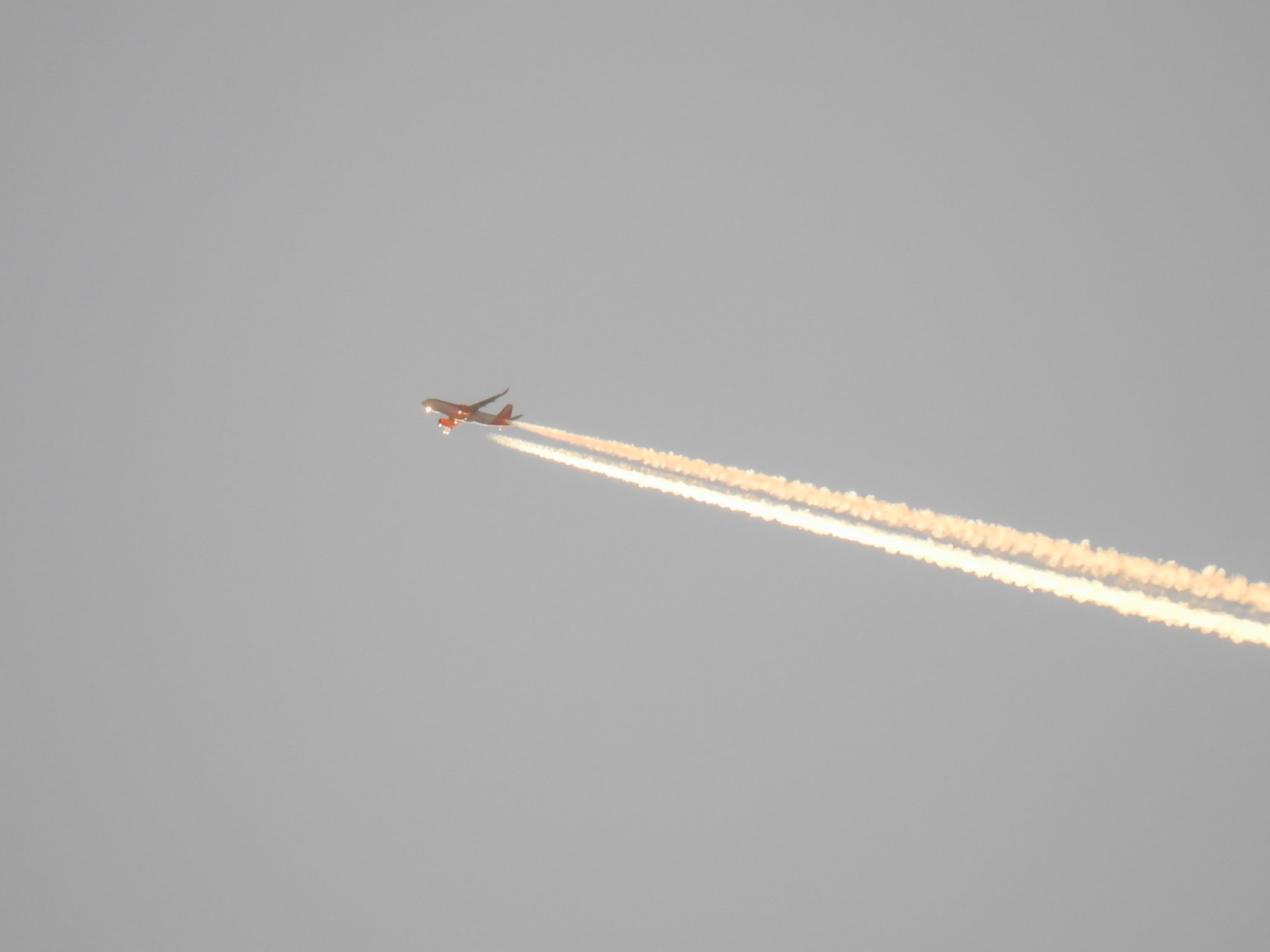 Taken with my Nikon Coolpix P900