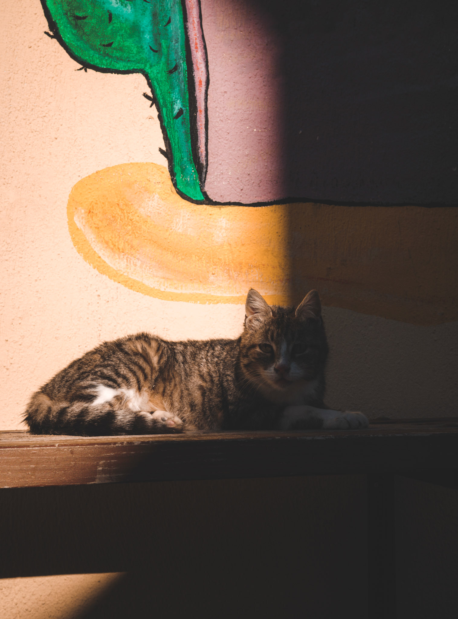 Taken with my Ricoh GR IIIx