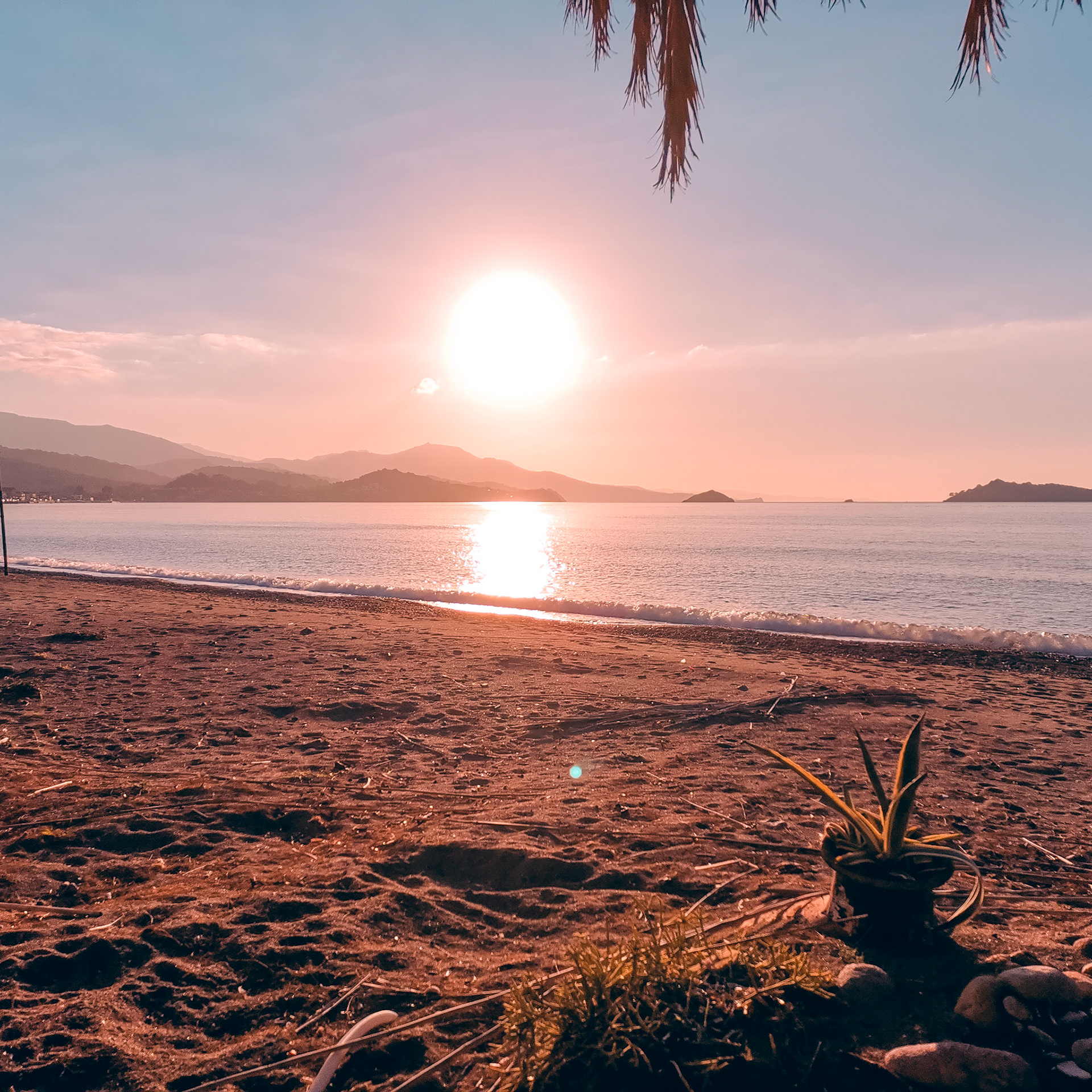 Taken with my Honor View 20