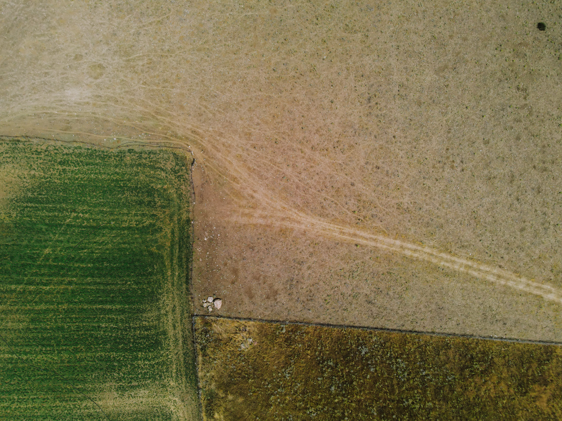 Taken with my DJI Mavic Air 2