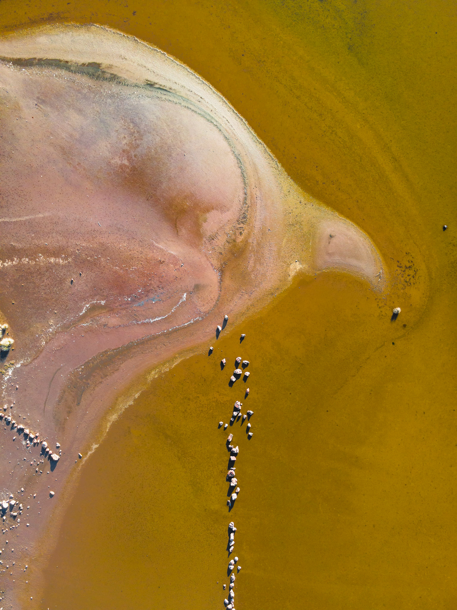 Taken with my DJI Mavic Air 2