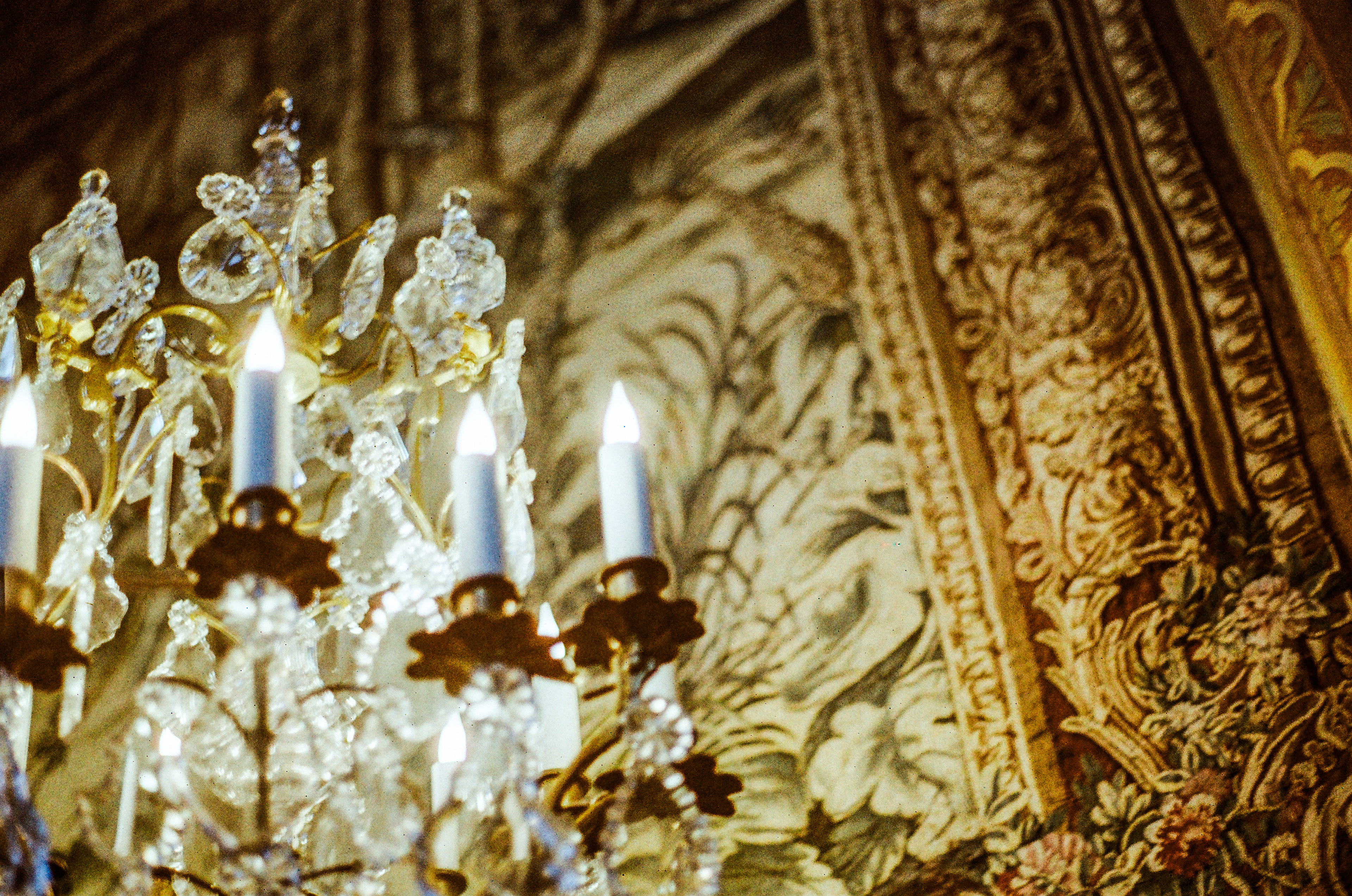 Galerie des cerfs