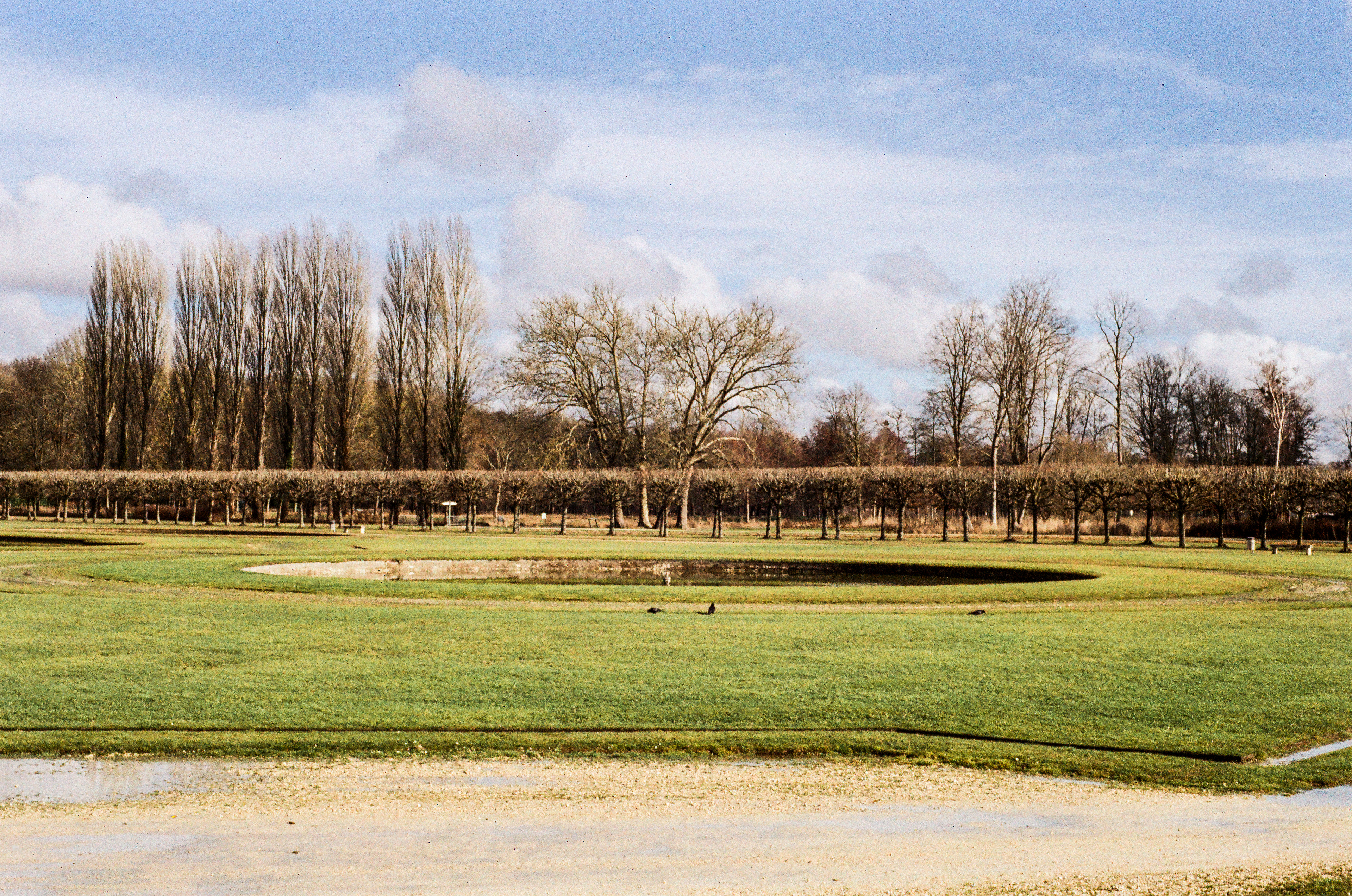 Jardin français