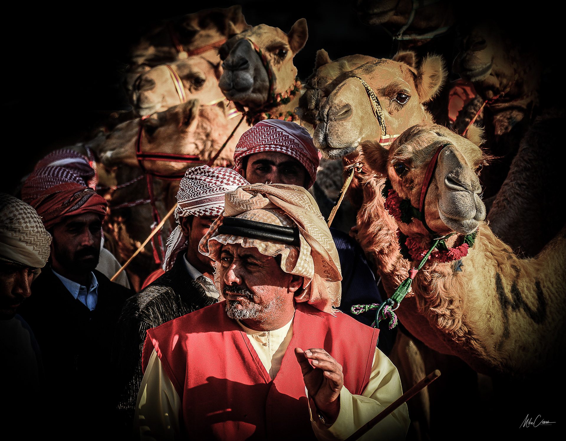 Emirati Camel Racers