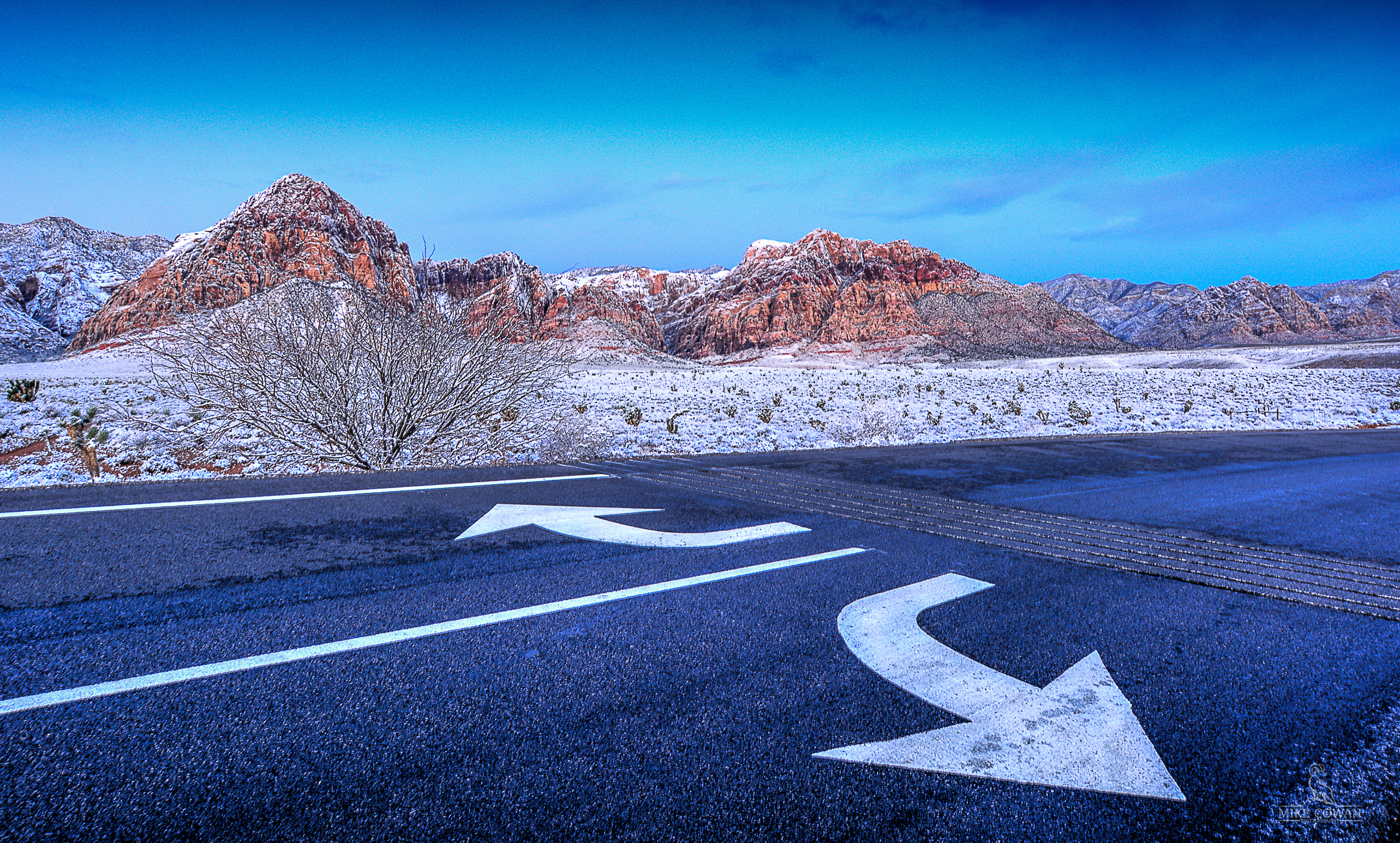 2020 1ST PLACE - KNPR DESERT COMPANION MAGAZINE - RURAL