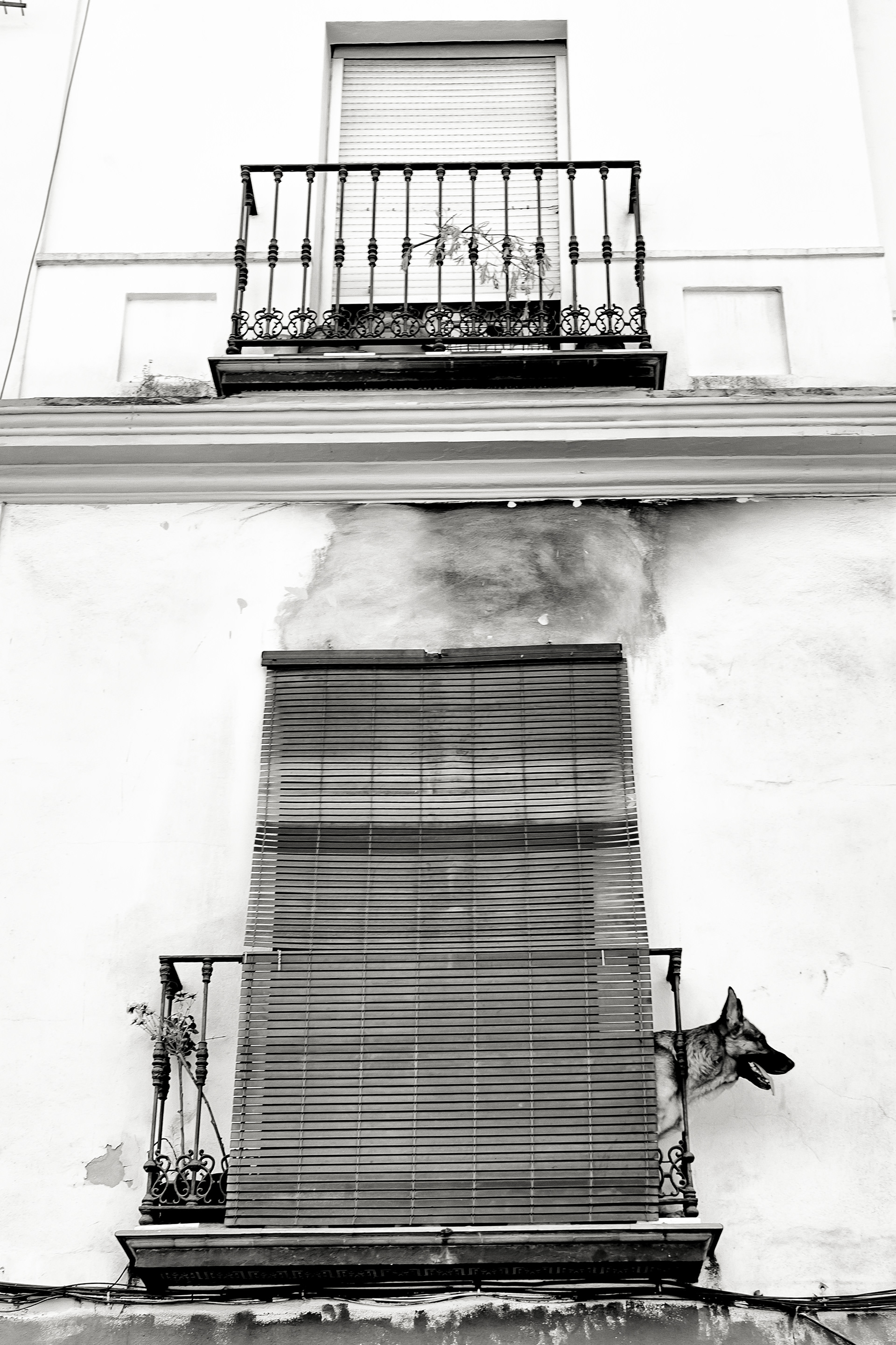 Sevilla