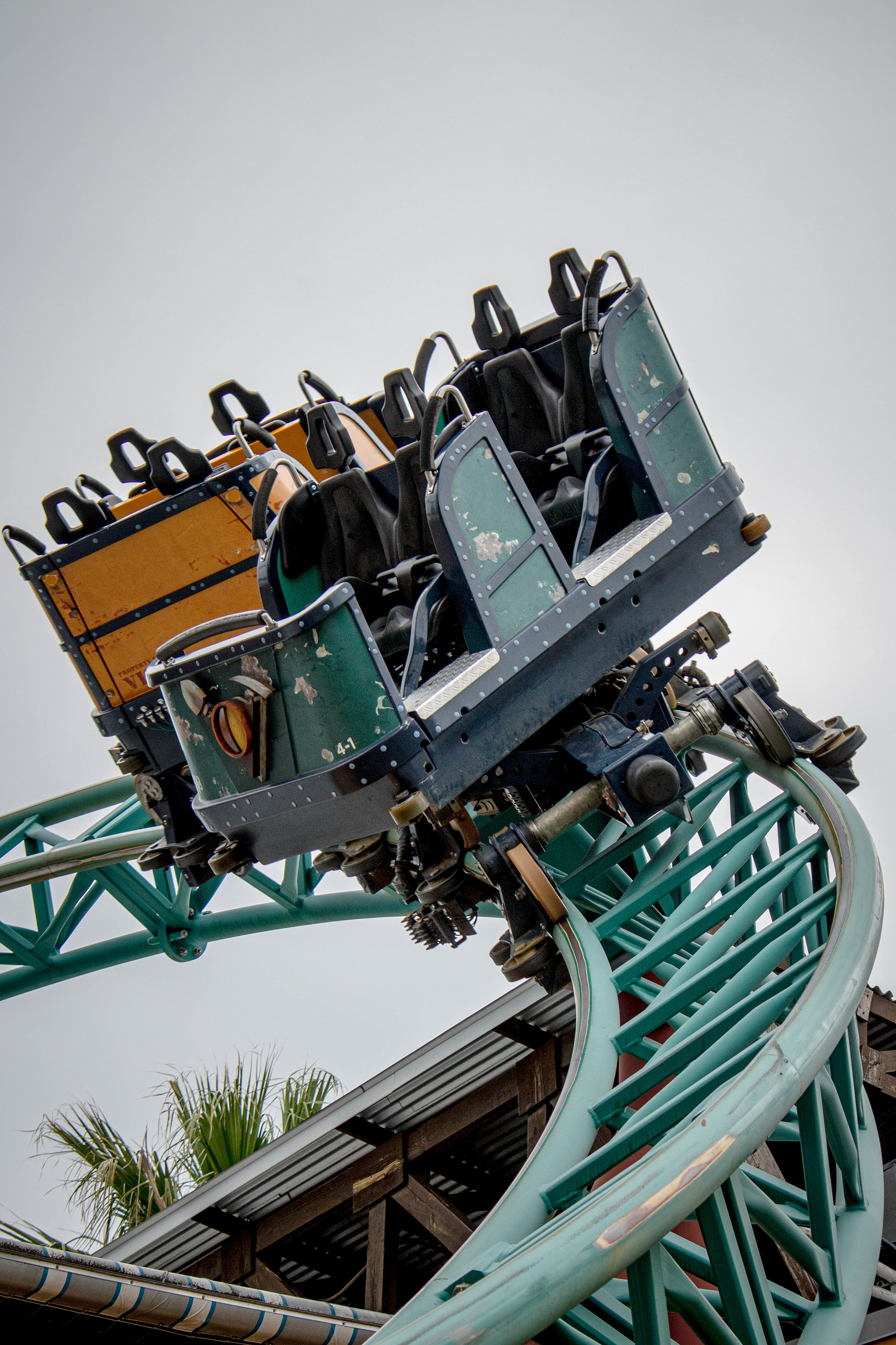 Cobra's Curse - Busch Gardens Tampa