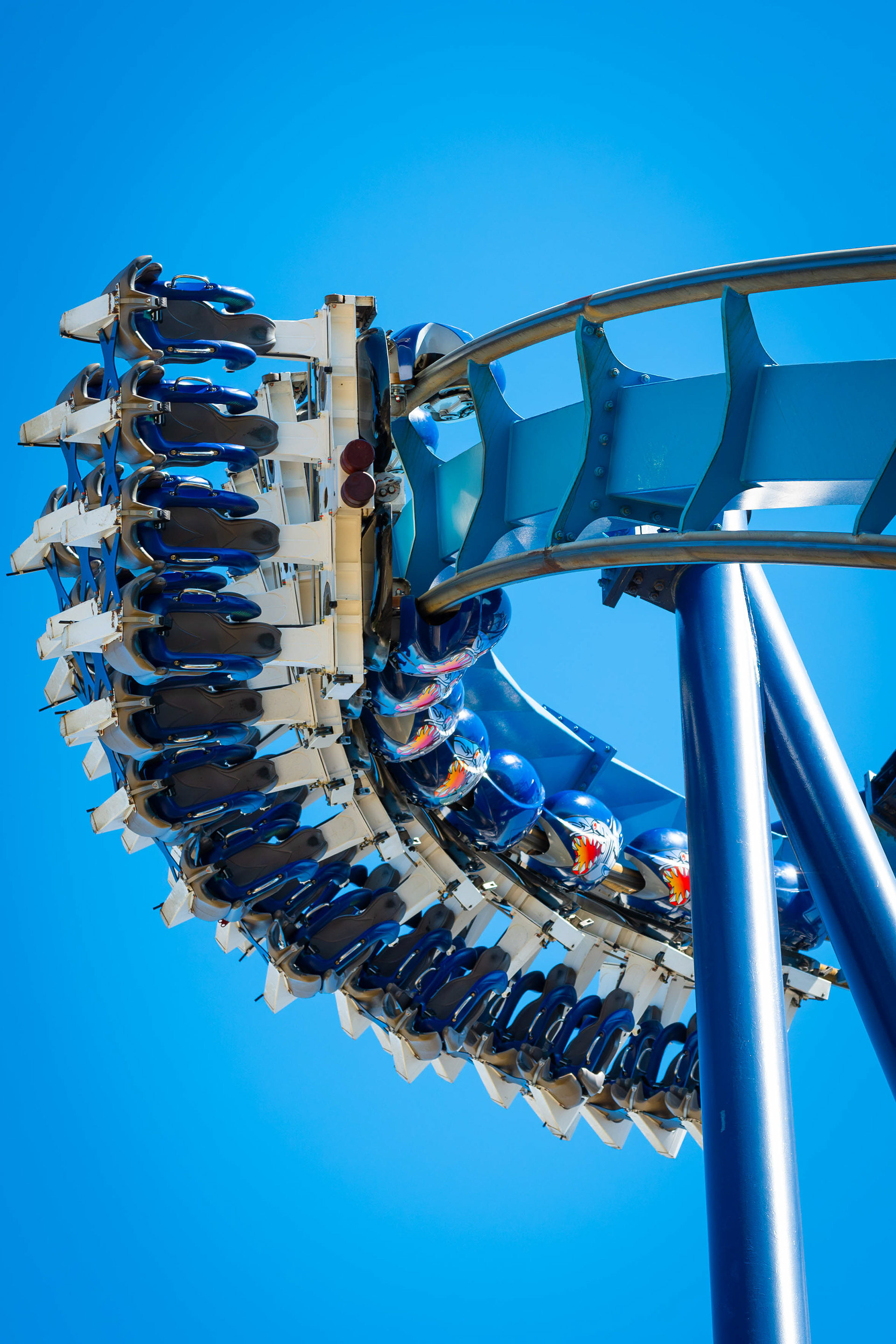 Great White - SeaWorld San Antonio