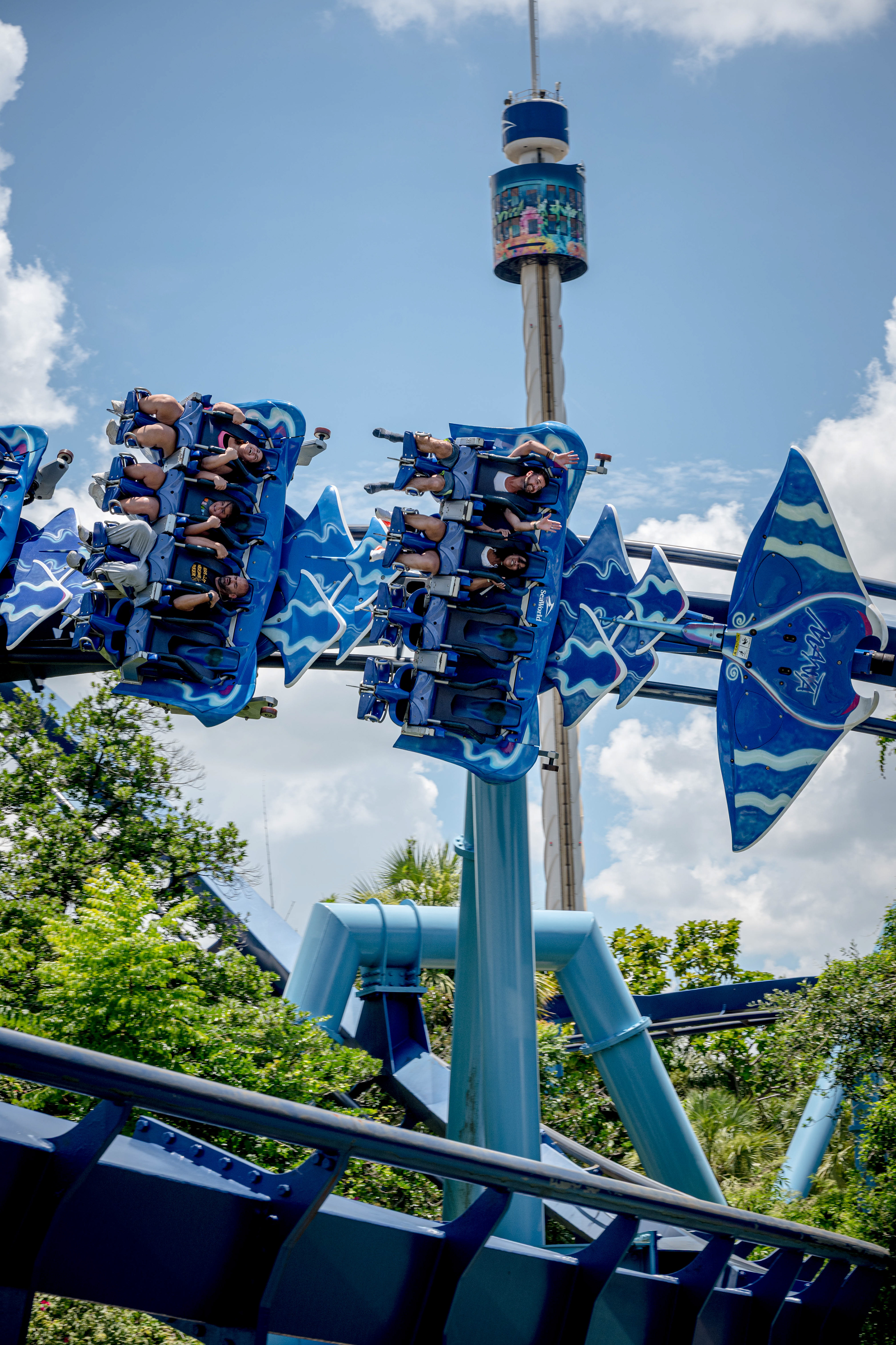 Manta - SeaWorld Orlando