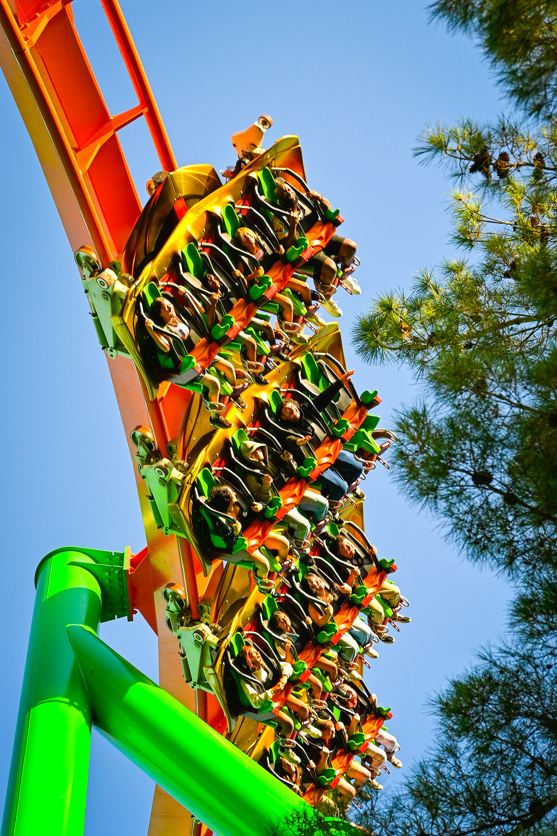 Tatsu - Six Flags Magic Mountain