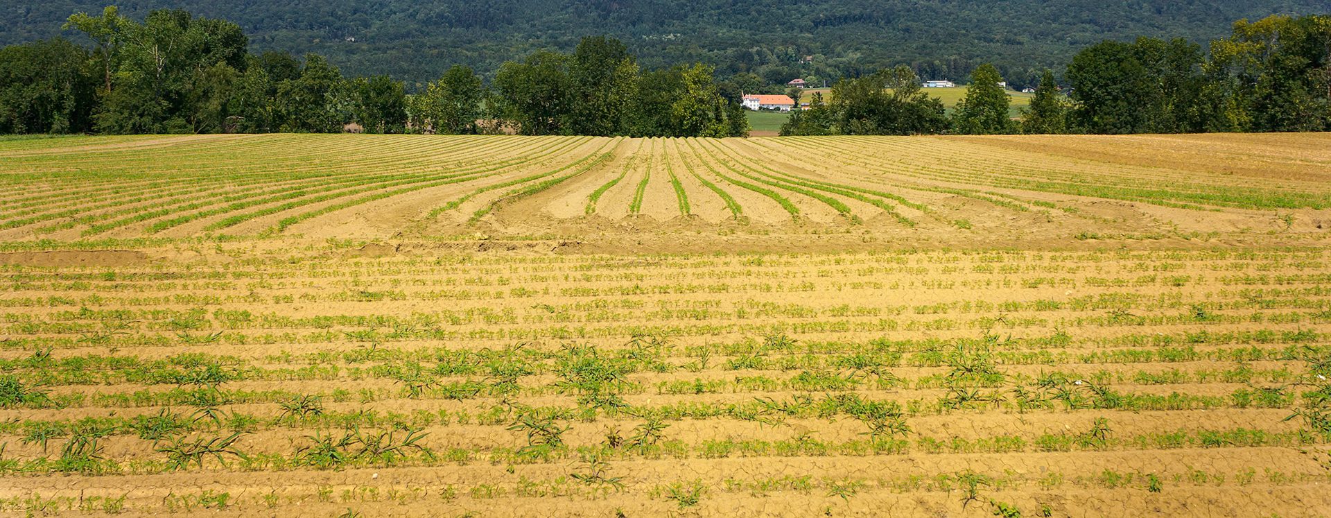 Chéserex, Vaud