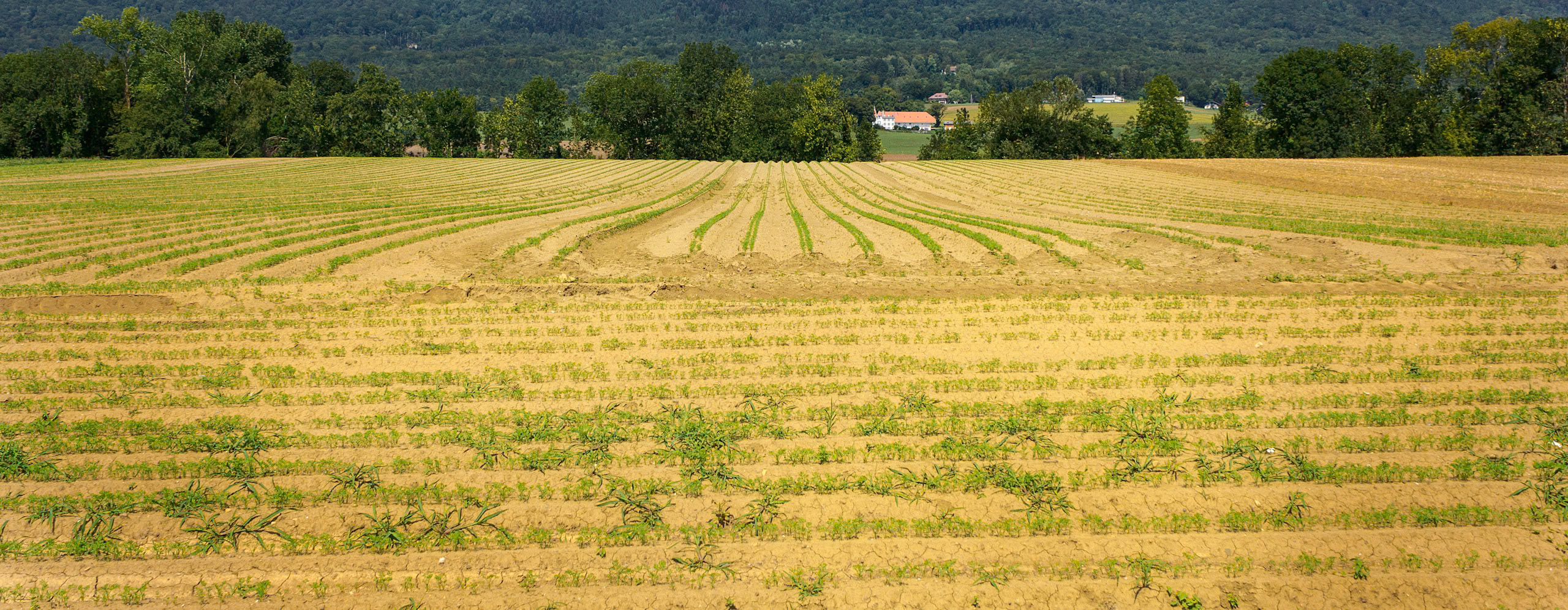 Chéserex, Vaud